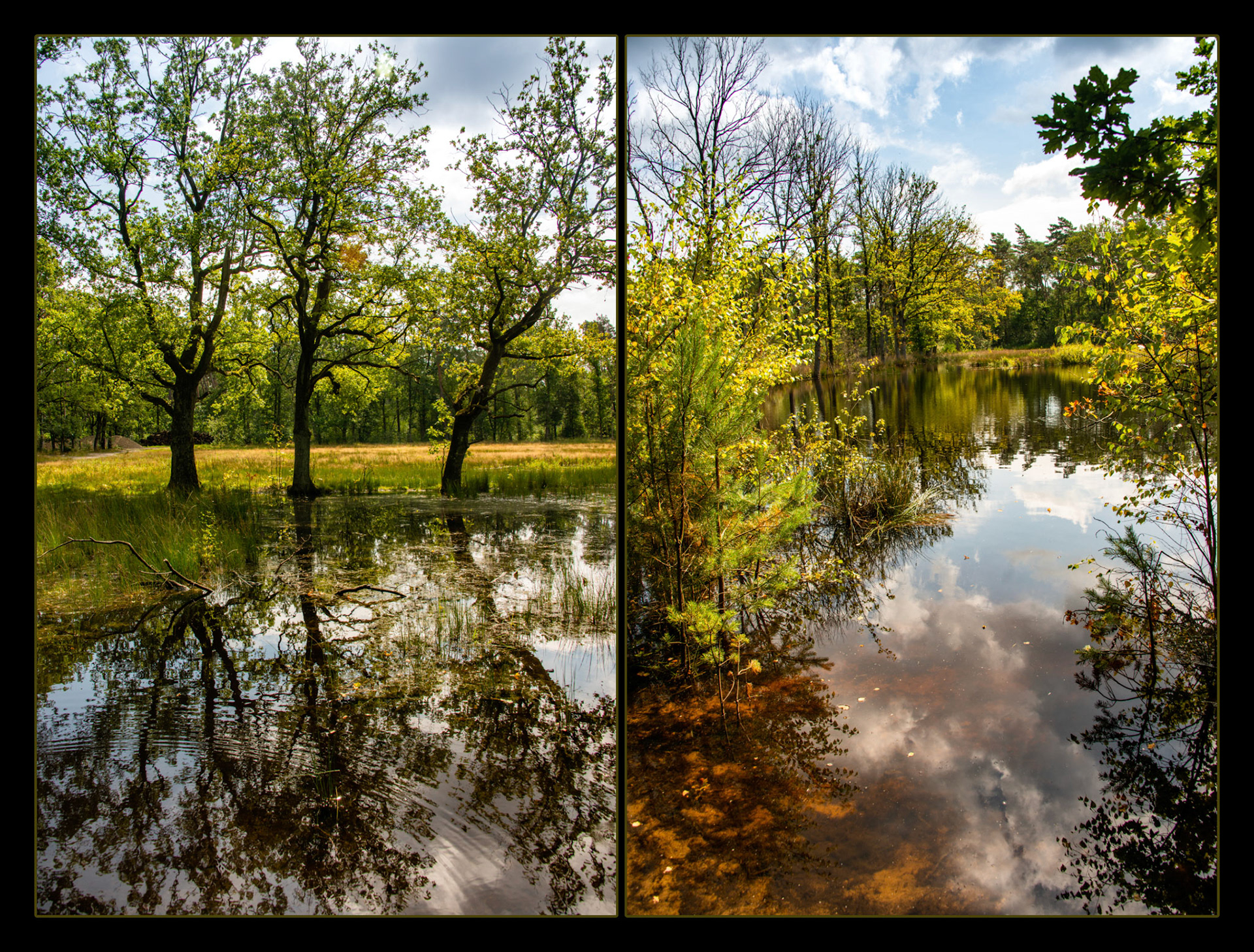 2021 08 28 AR Zwarte Beek F70b