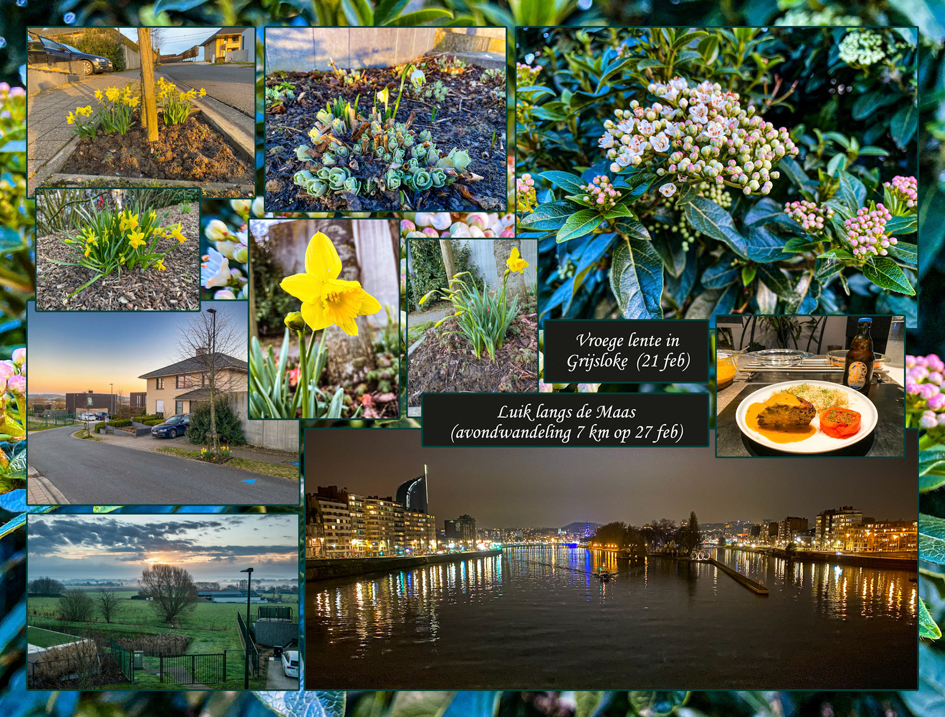 2021 02 20 Grijsloke F03b winter opkuis