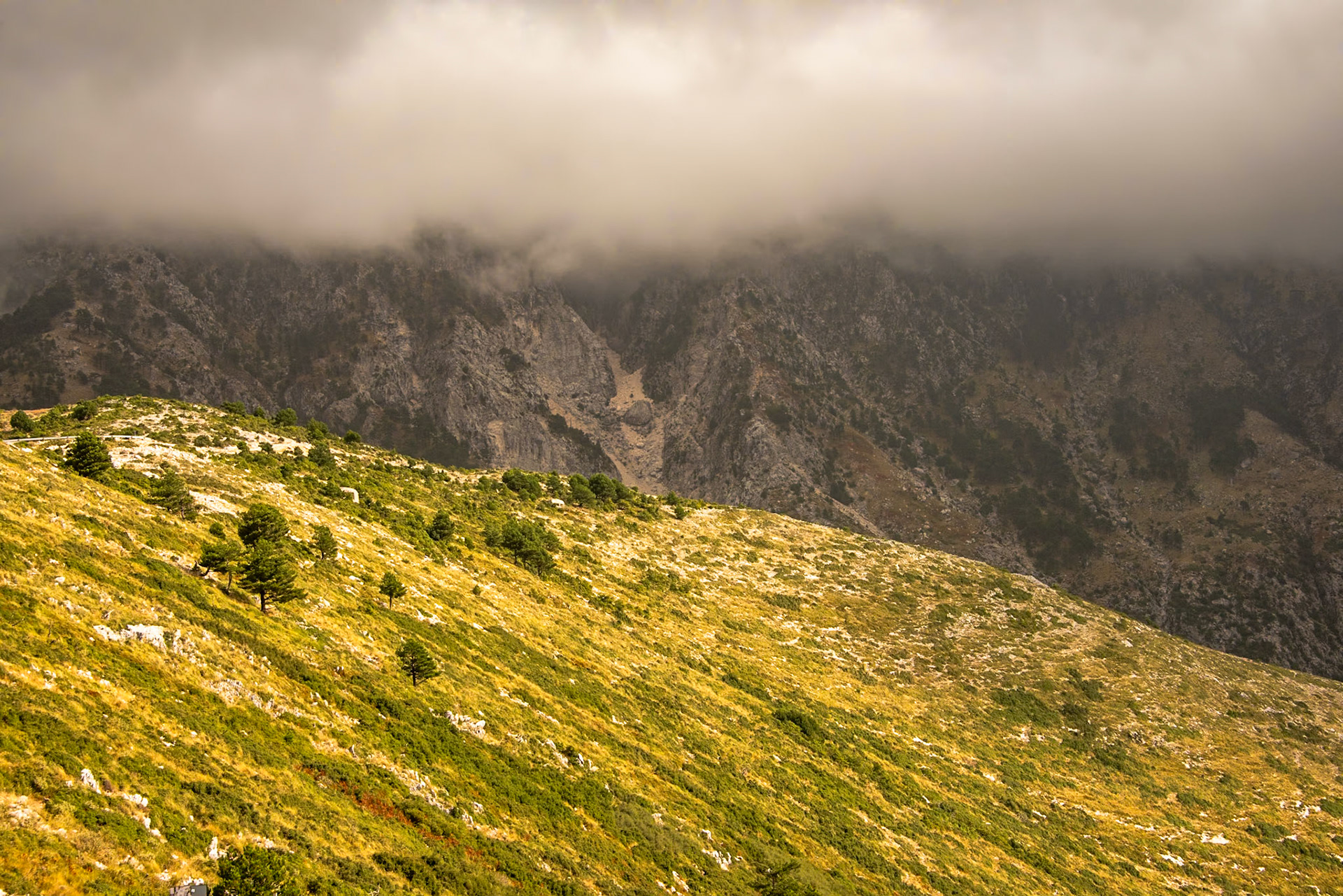 Hoogerop in de bergen regen en mist maar aan de kust zonneschijn