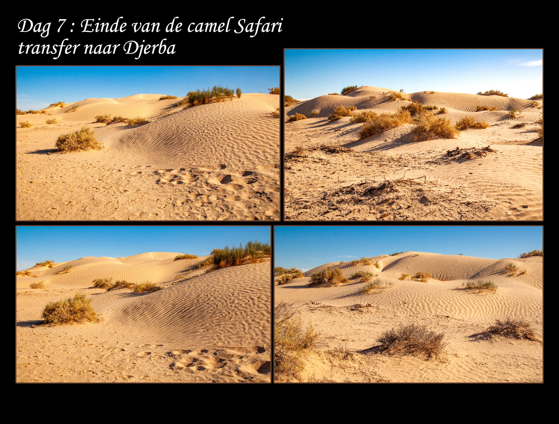 2022 11 25 Sahara F009b