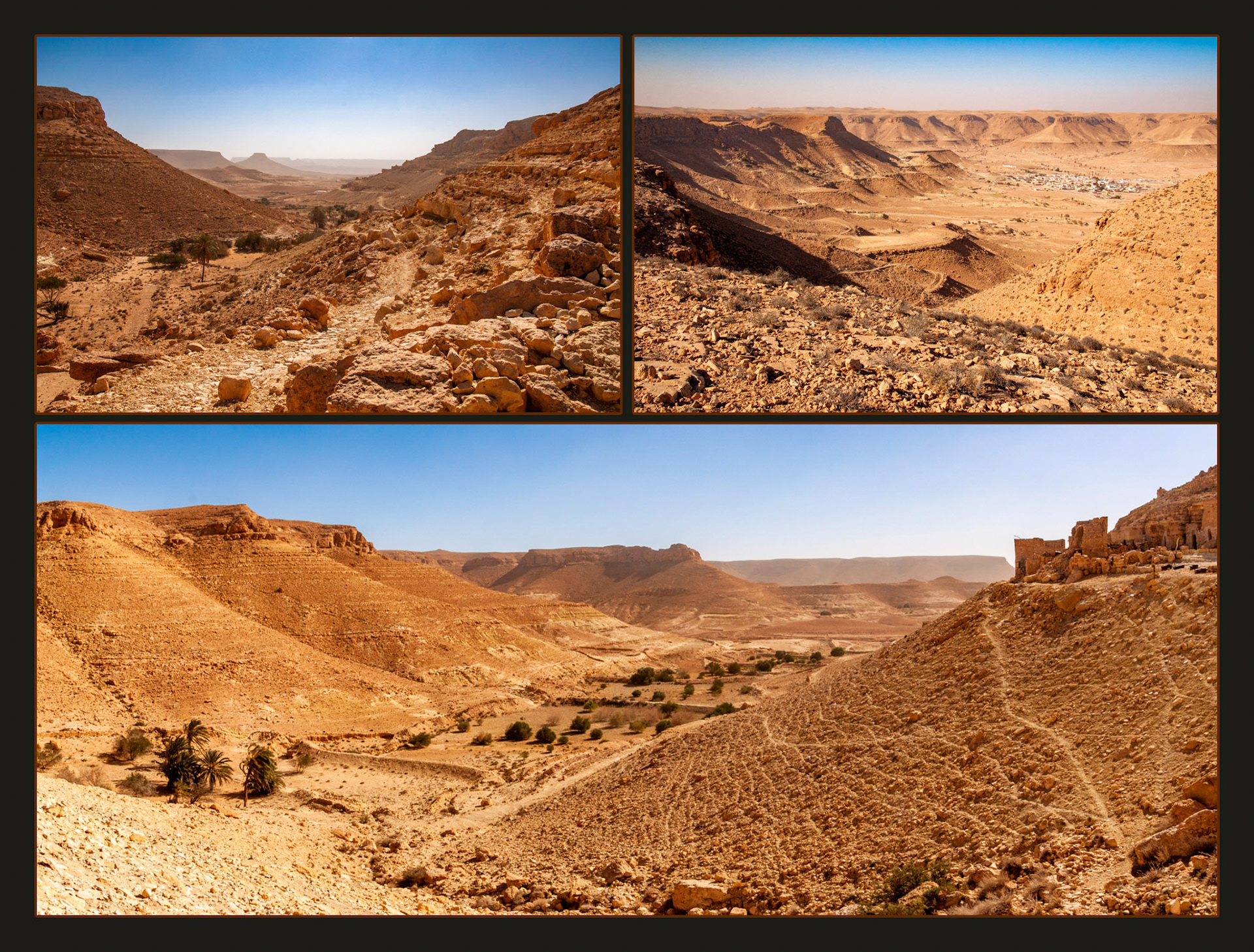 2022 11 20 Douiret Chenini F31c