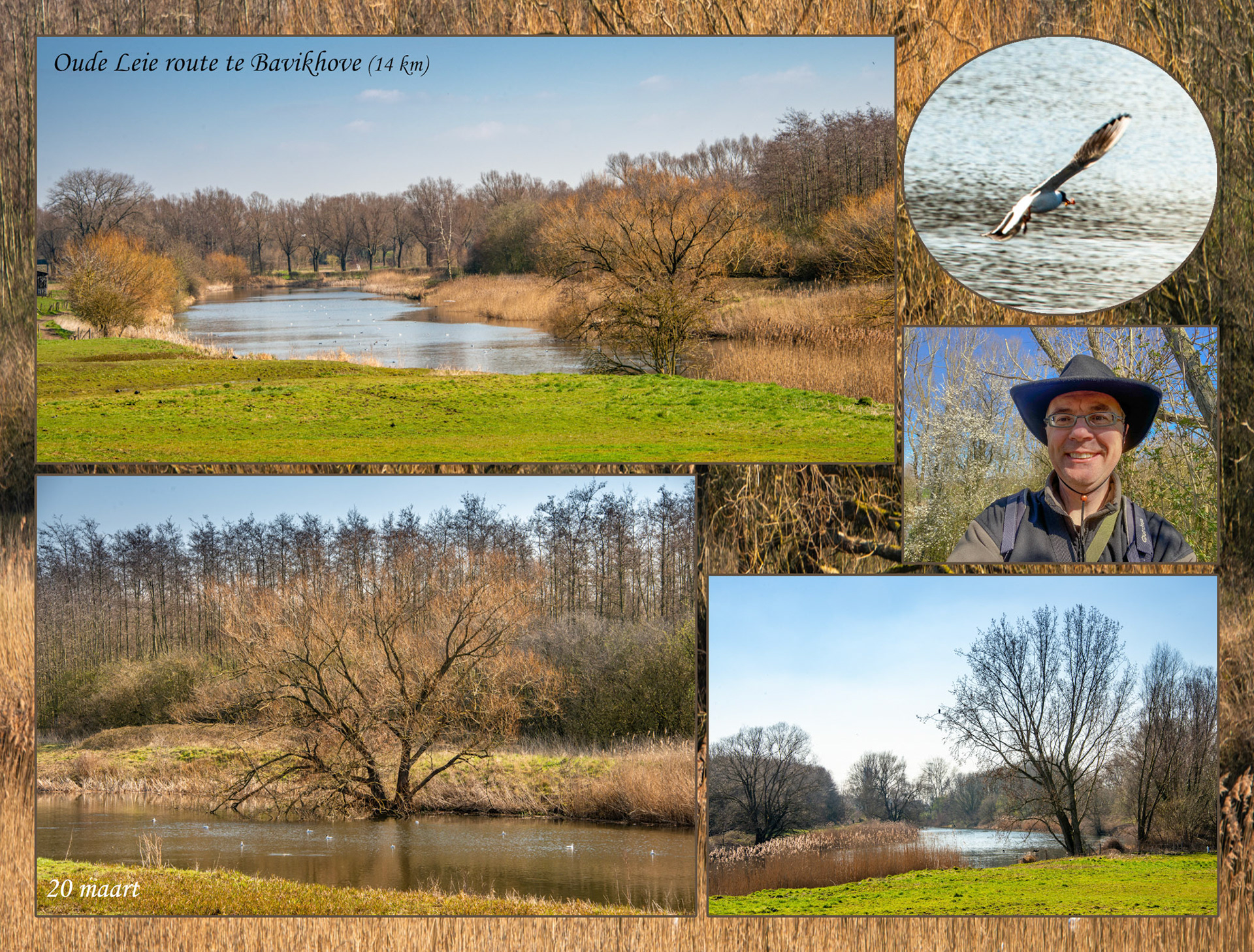 Leiemeander t.h.v. Bavikhove Leiekant (Oude Leie route)