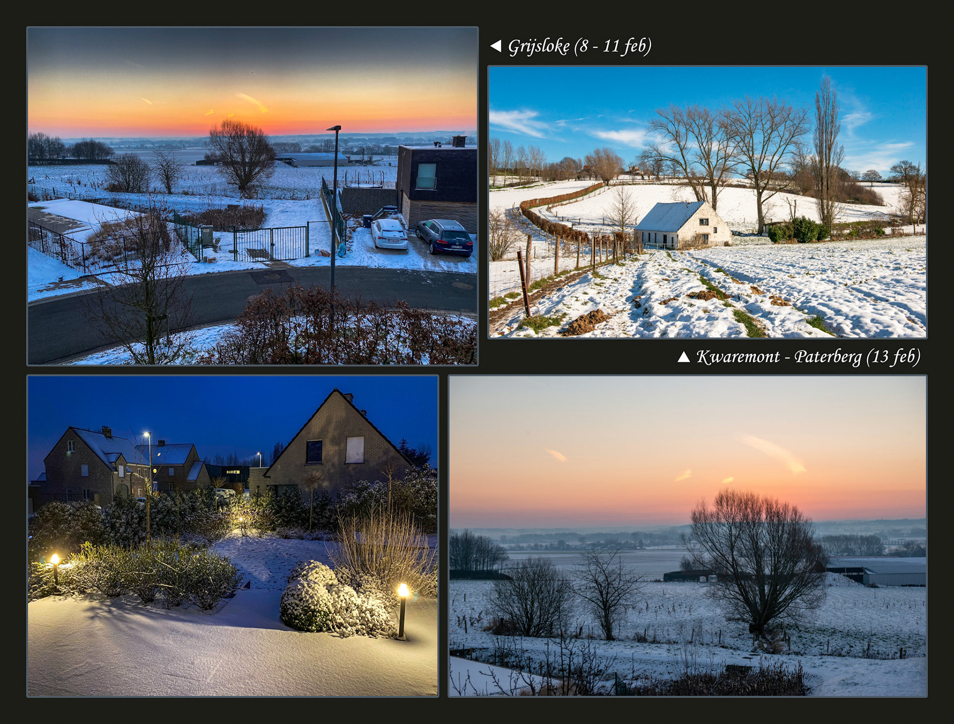 2021 02 08 Grijsloke F08b sneeuw