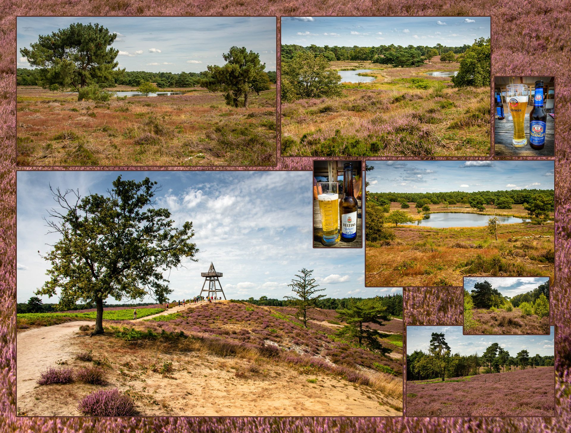 2021 08 15 Maasduinen F64b