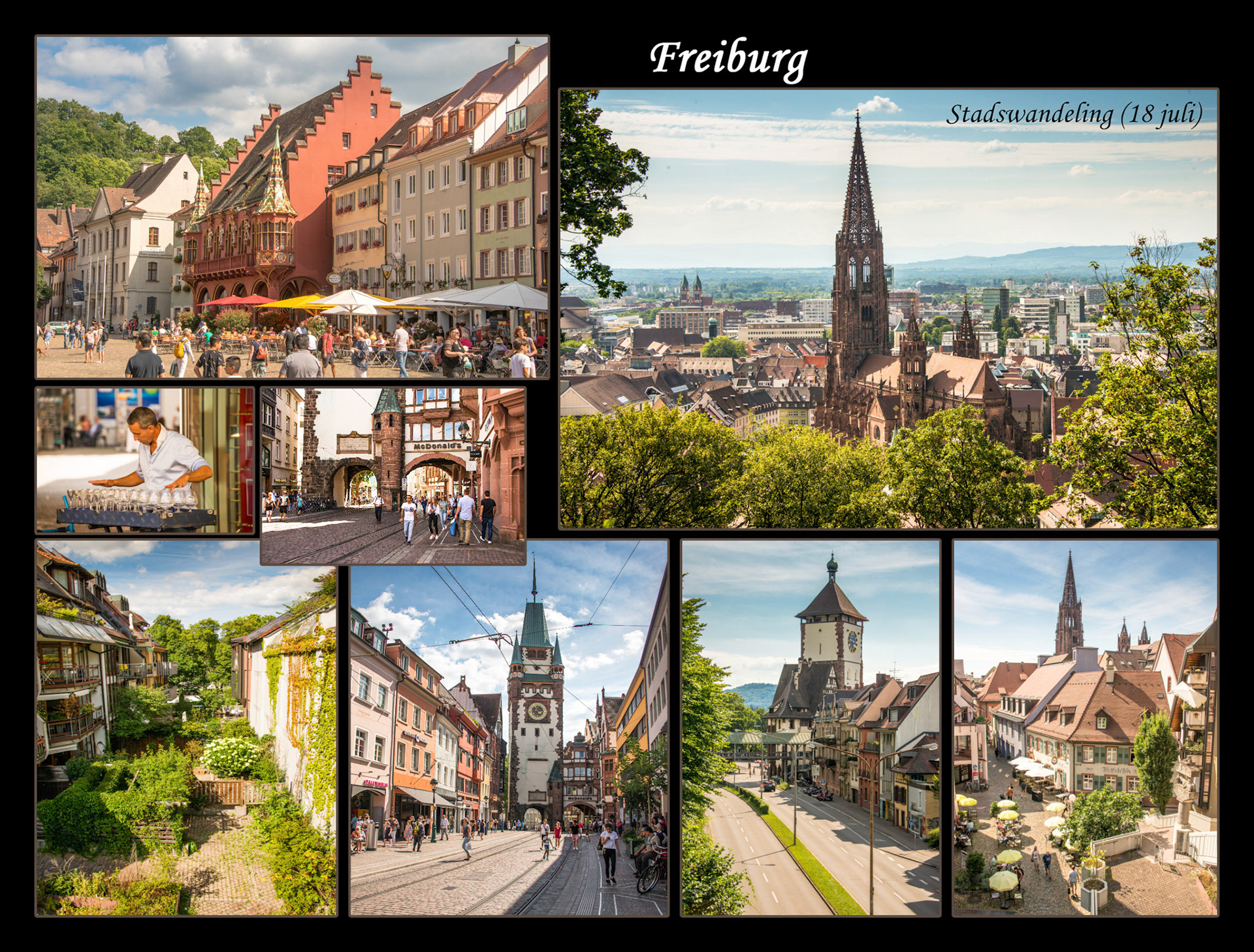 2020 07 19 ZW F003b Freiburg