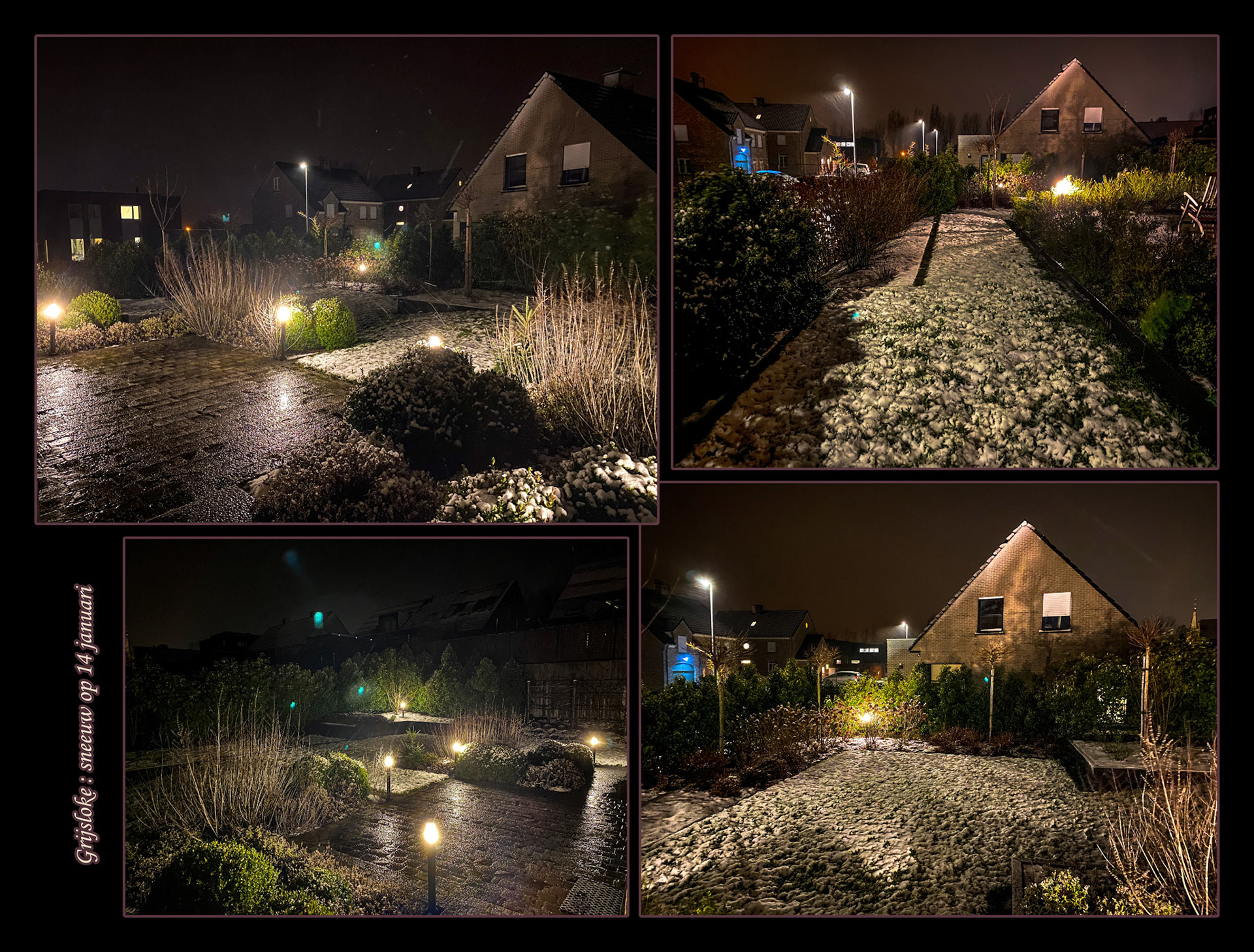 2021 01 14 Grijsloke F26b tuin sneeuw