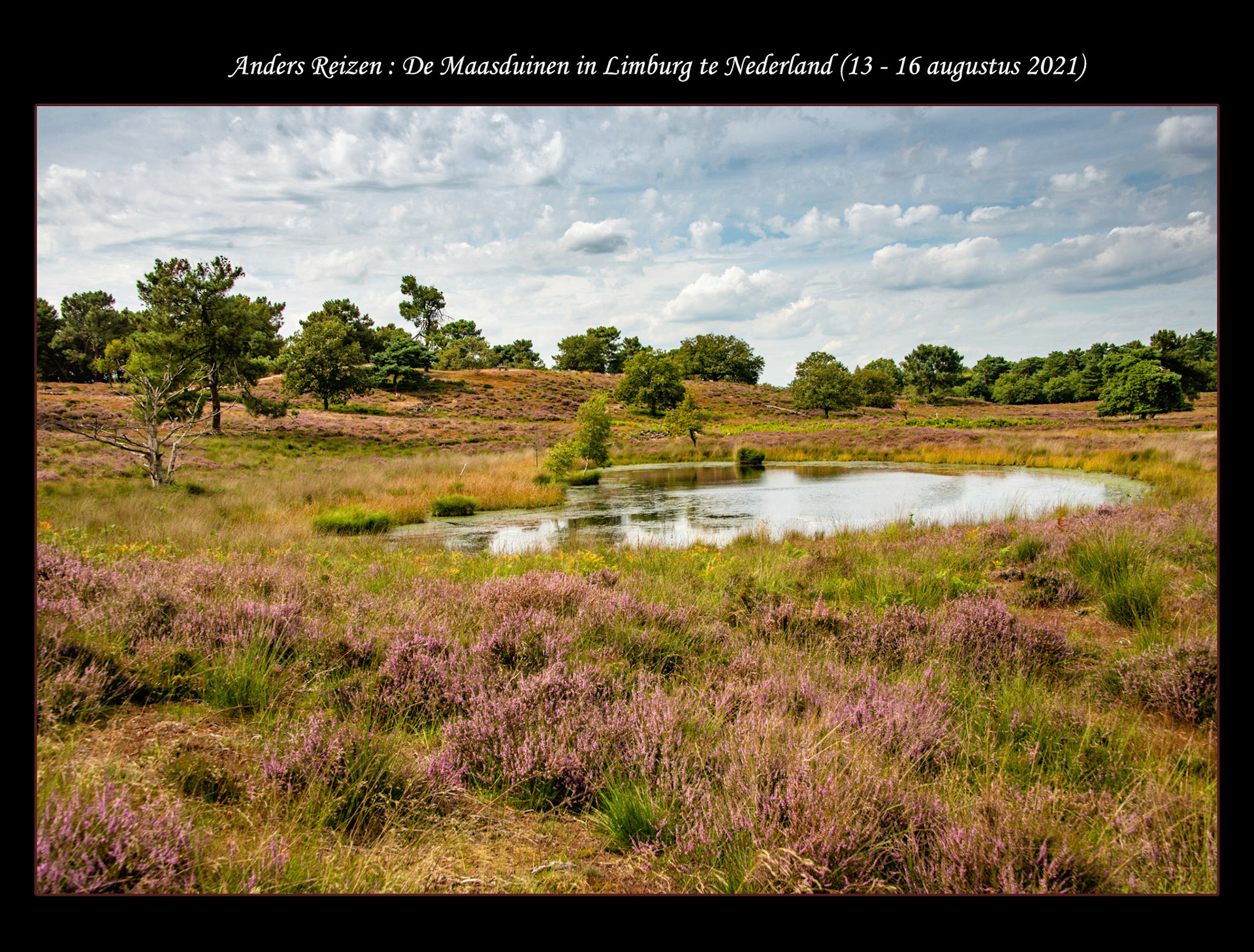 2021 08 13 Maasduinen F01b cover