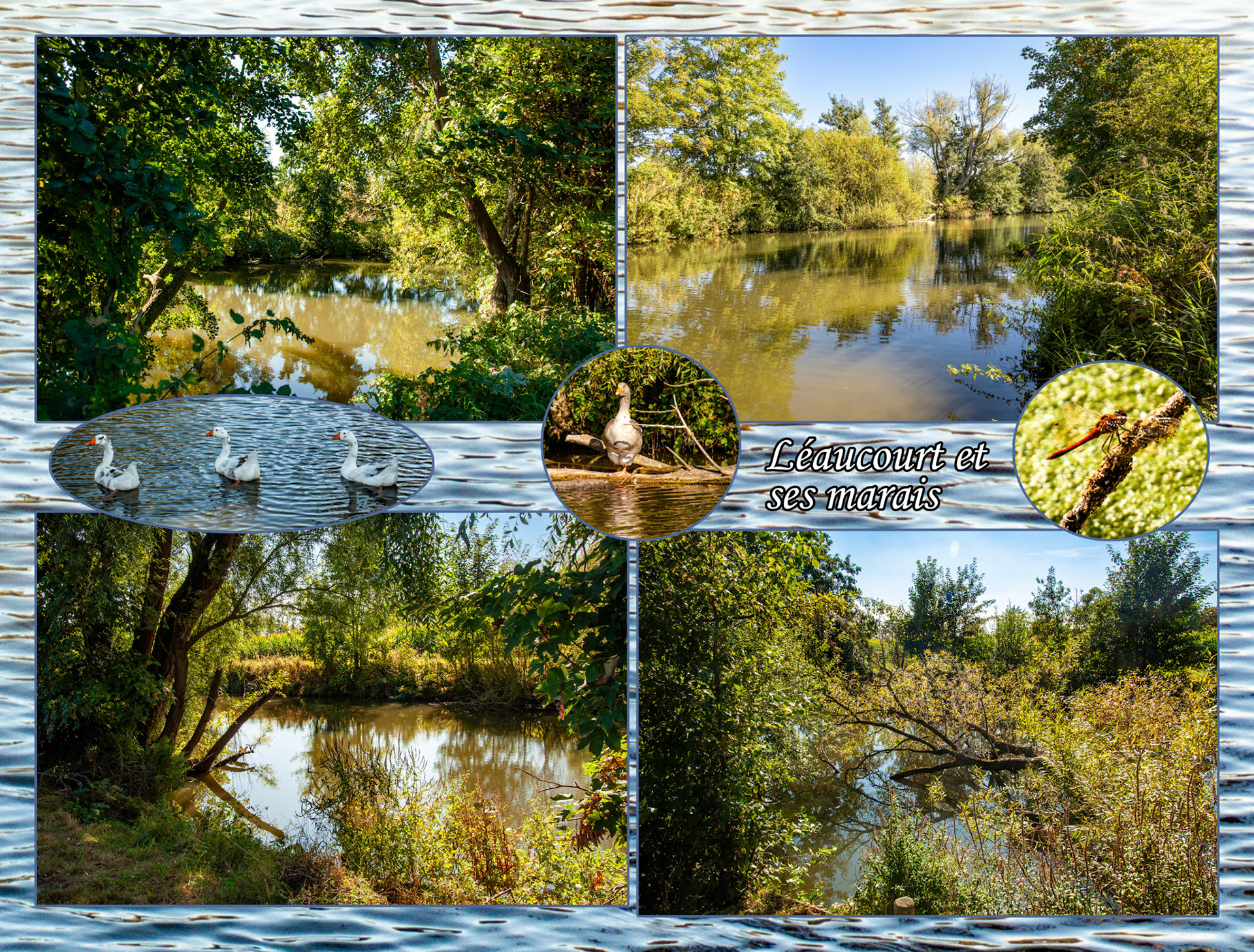 2021 09 25 Obigies F15b Mont-Saint-Aubert