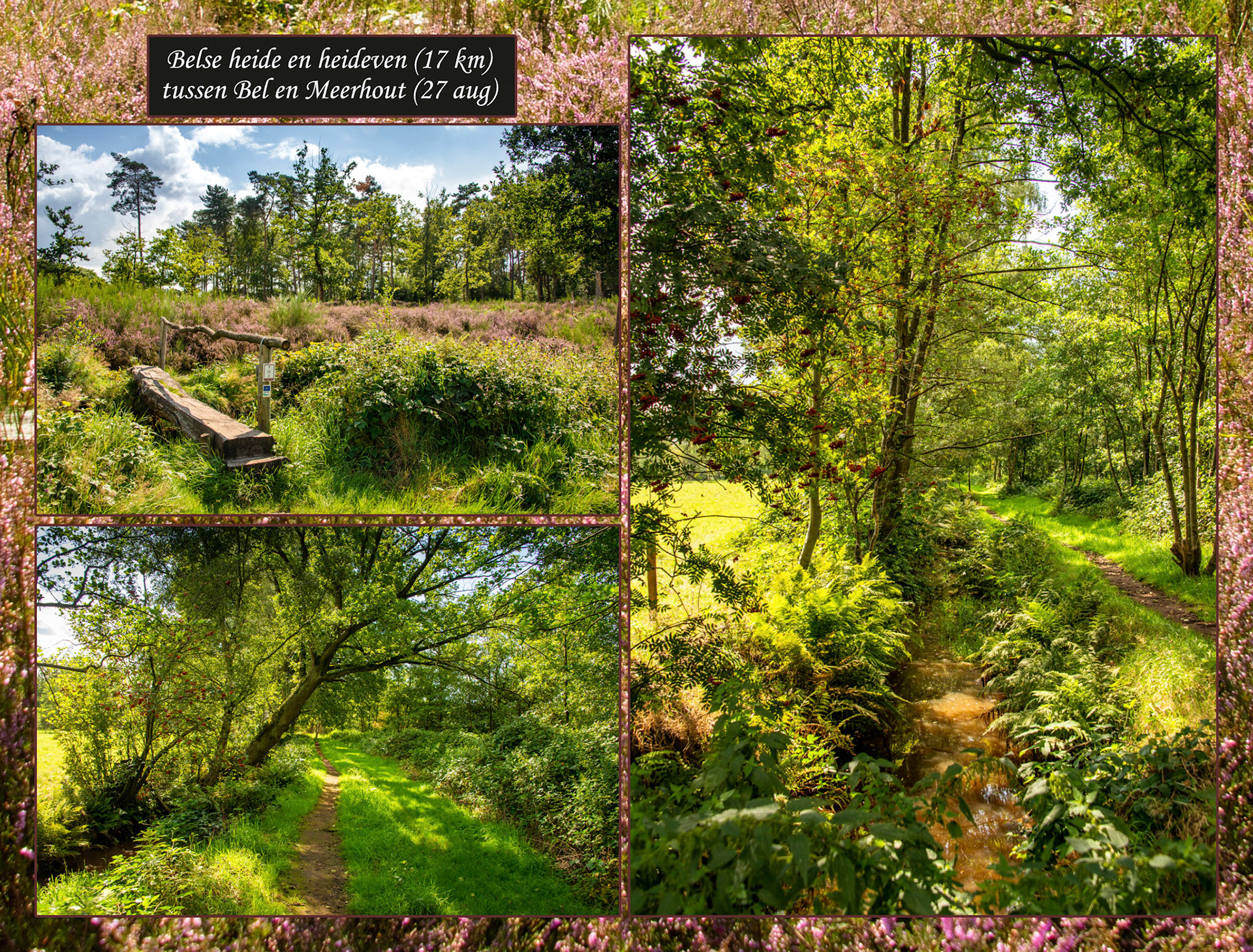 2021 08 27 Belse heide F17b