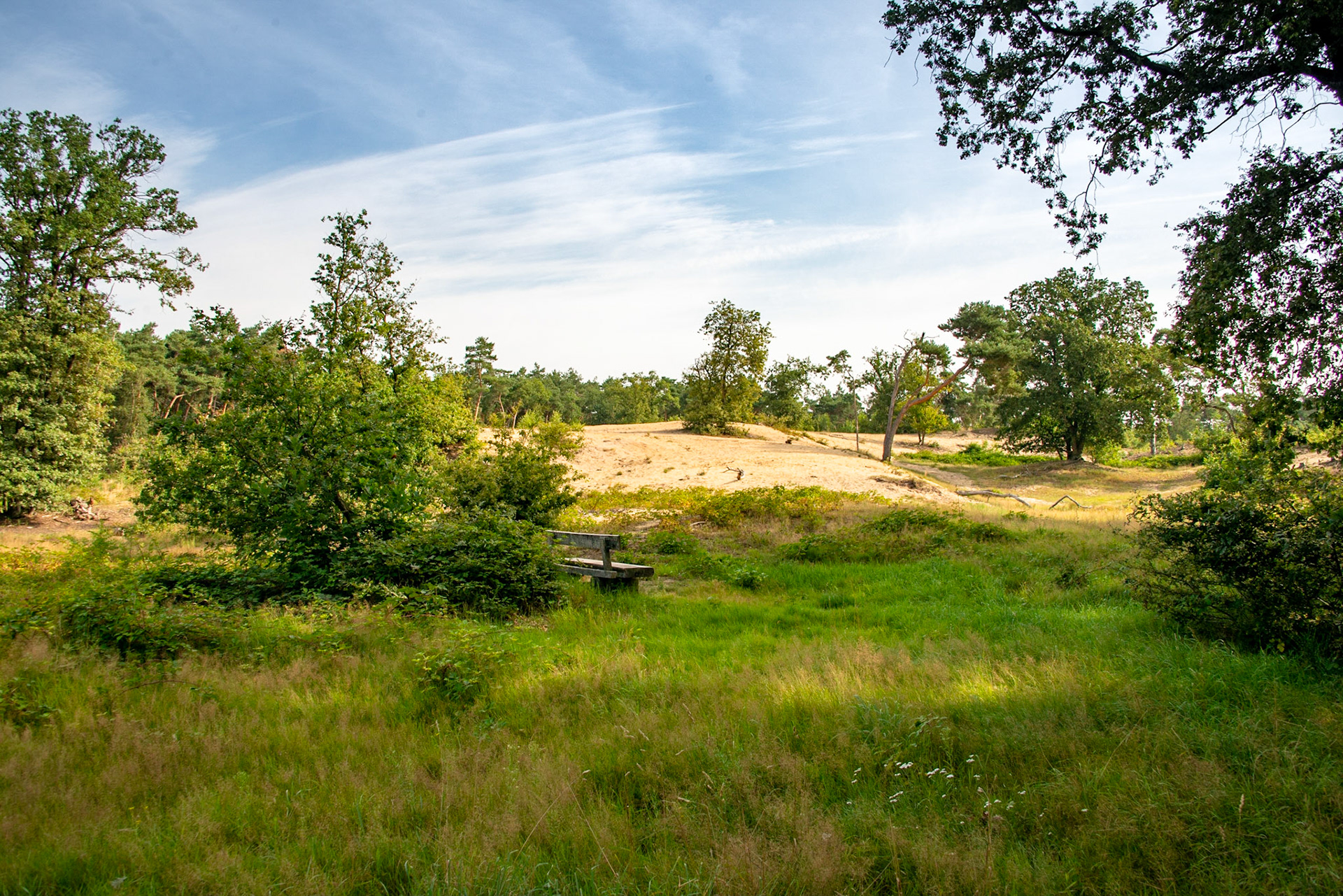 Ravenvennen Schandeloscheheide Lommerheide