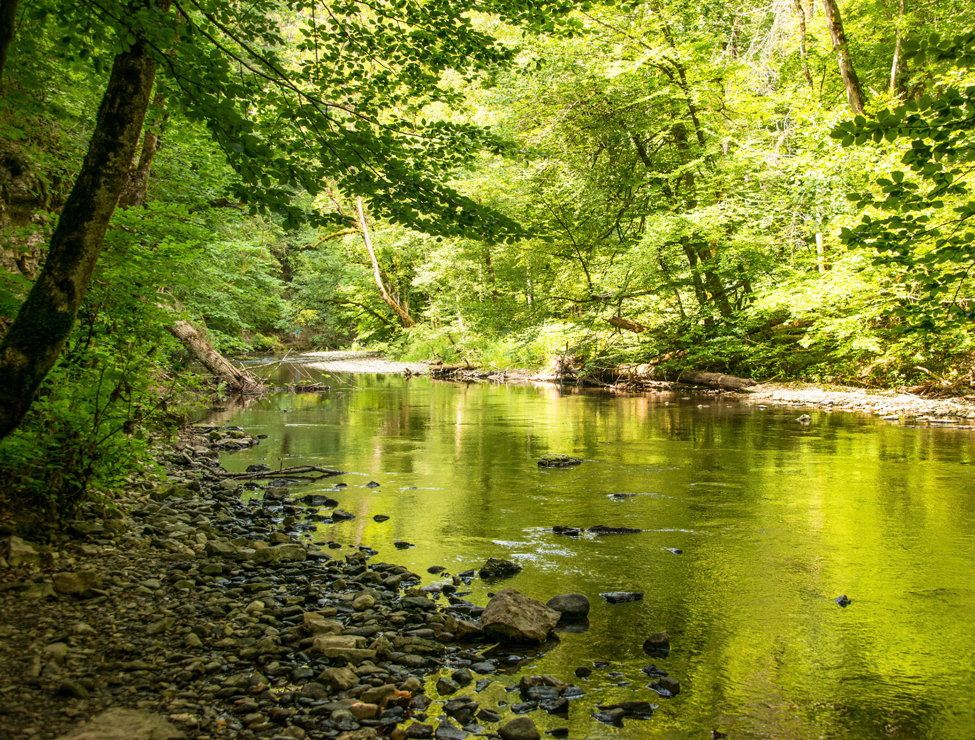 2020 07 22 ZW F035b E2 Blumberg Schattenmuhle