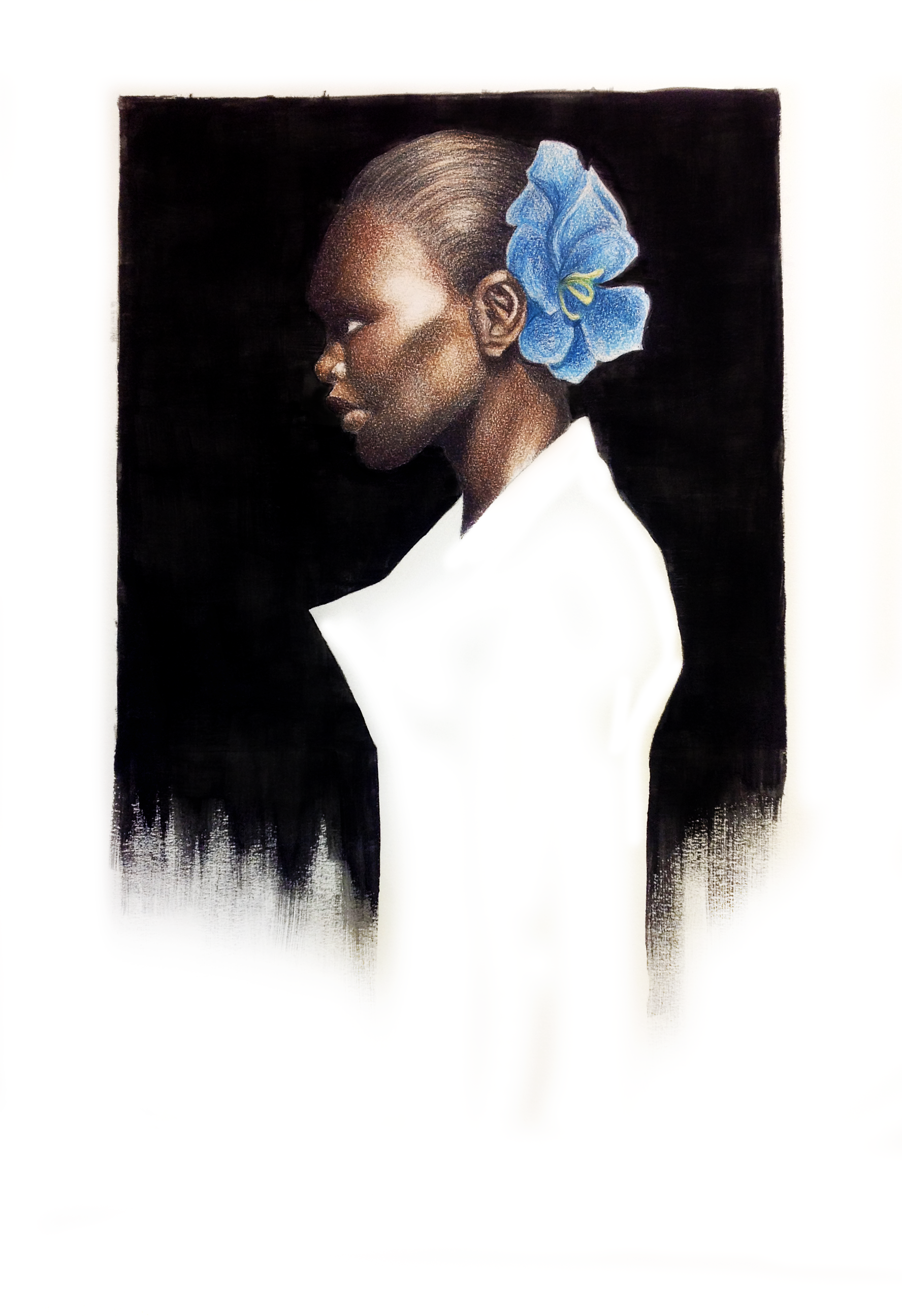 Colored pencil, ink