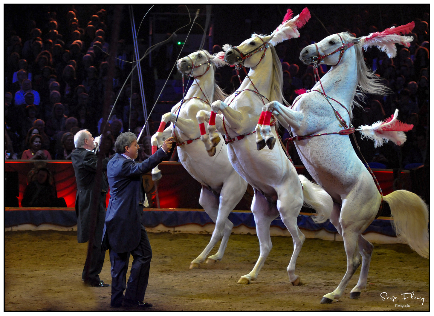 2016 - 40ème Festival de Monte-Carlo