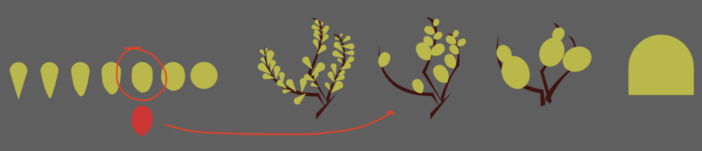 Plant Transitions