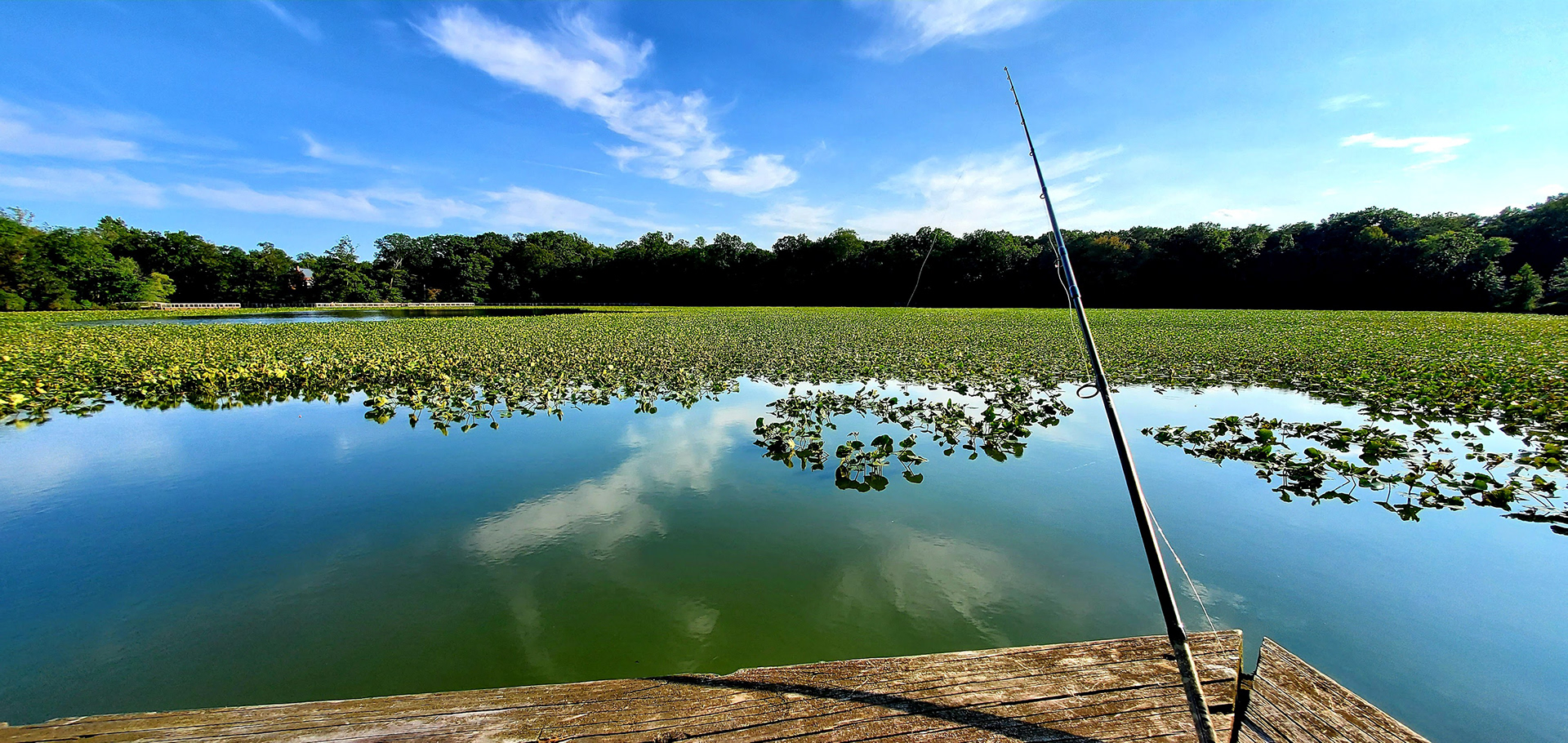 #15 Fishing, 2022, Photo uses a wide angle to capture a fishing spot at the Historic Smithville Park, NJ.