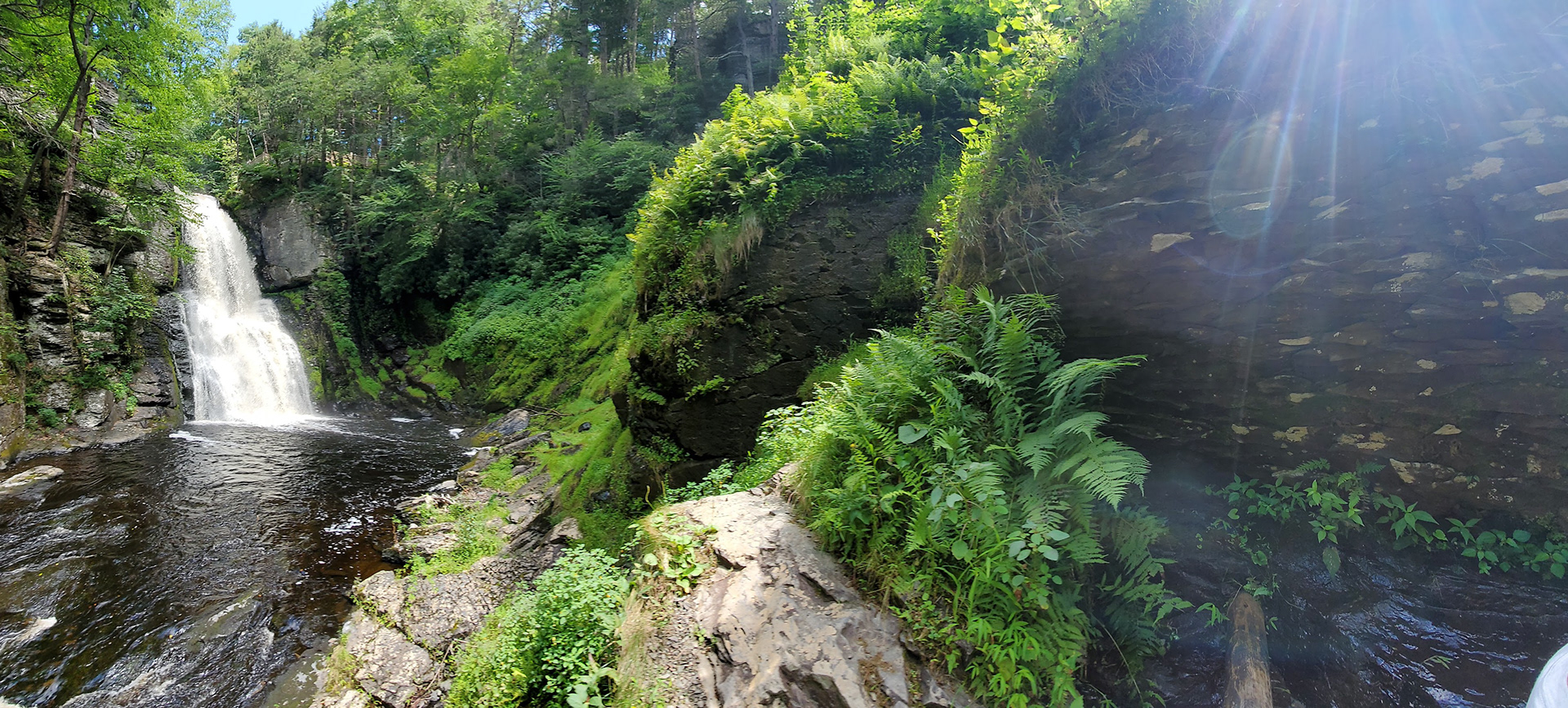 #19 Bushkill Falls, 2021, Photo plays with light leaks and depth to move the eye around the wide shot of Bushkill Falls, PA.