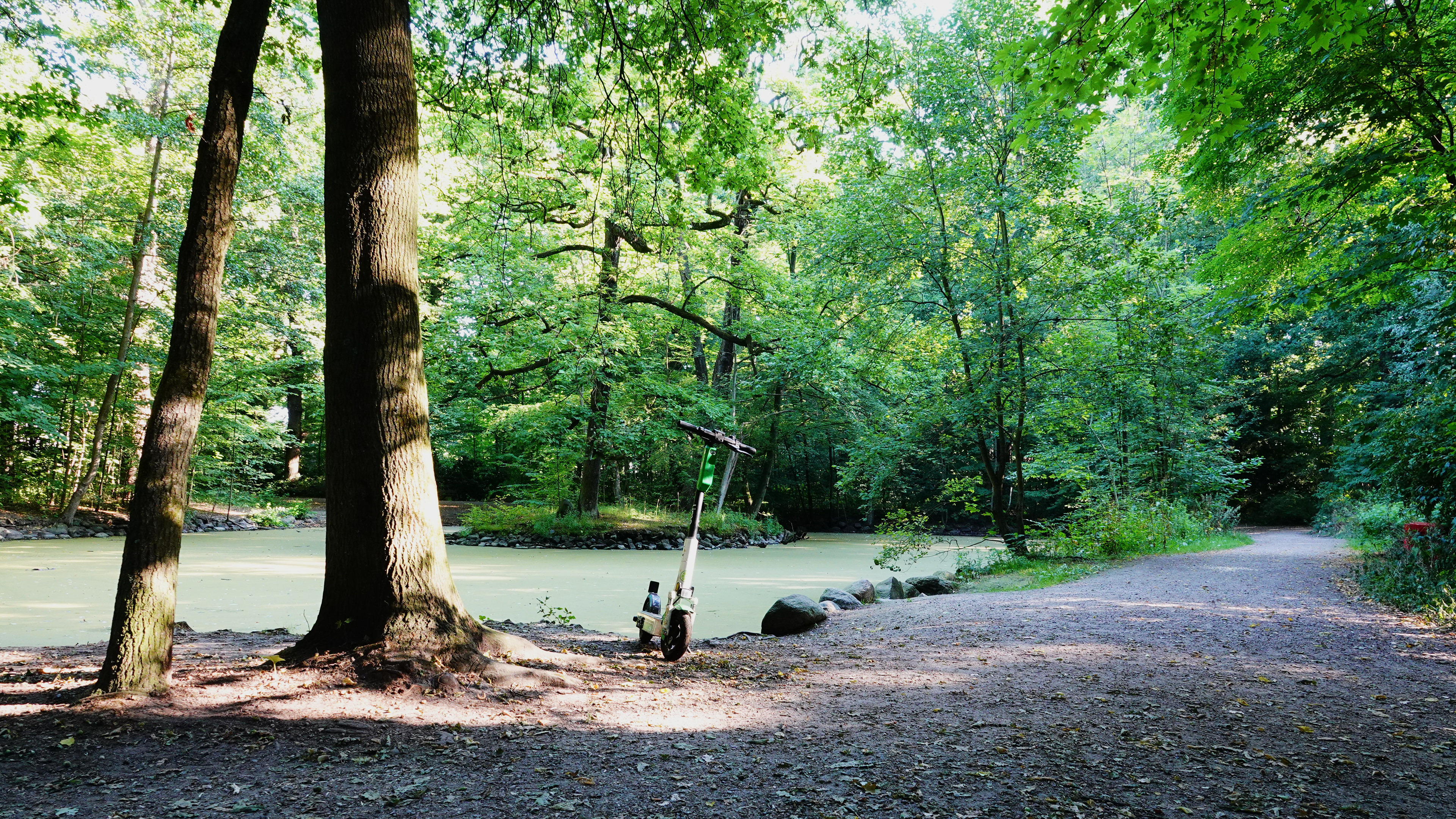 abgestellter e-scooter im wald