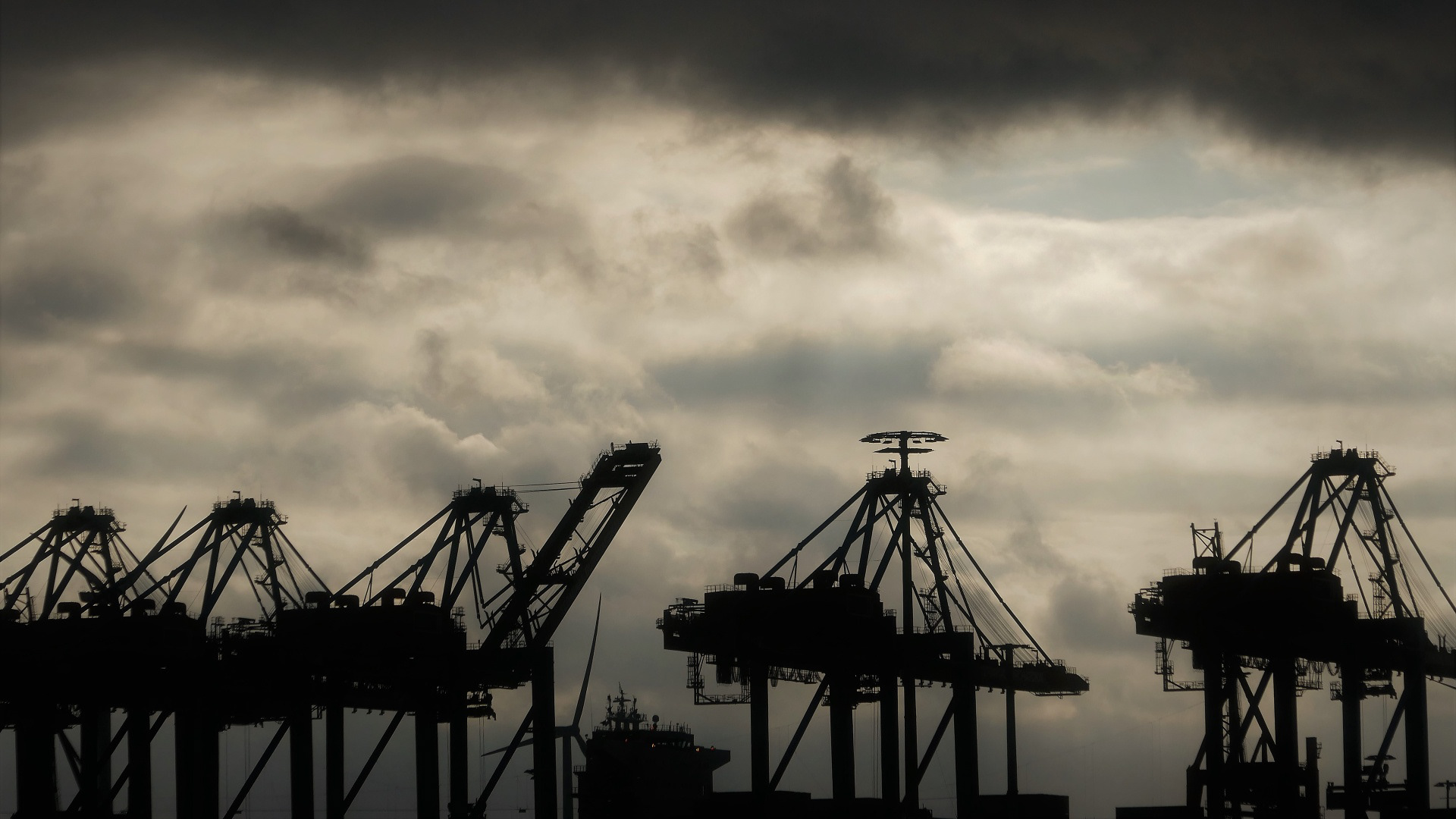 krane im hamburger hafen