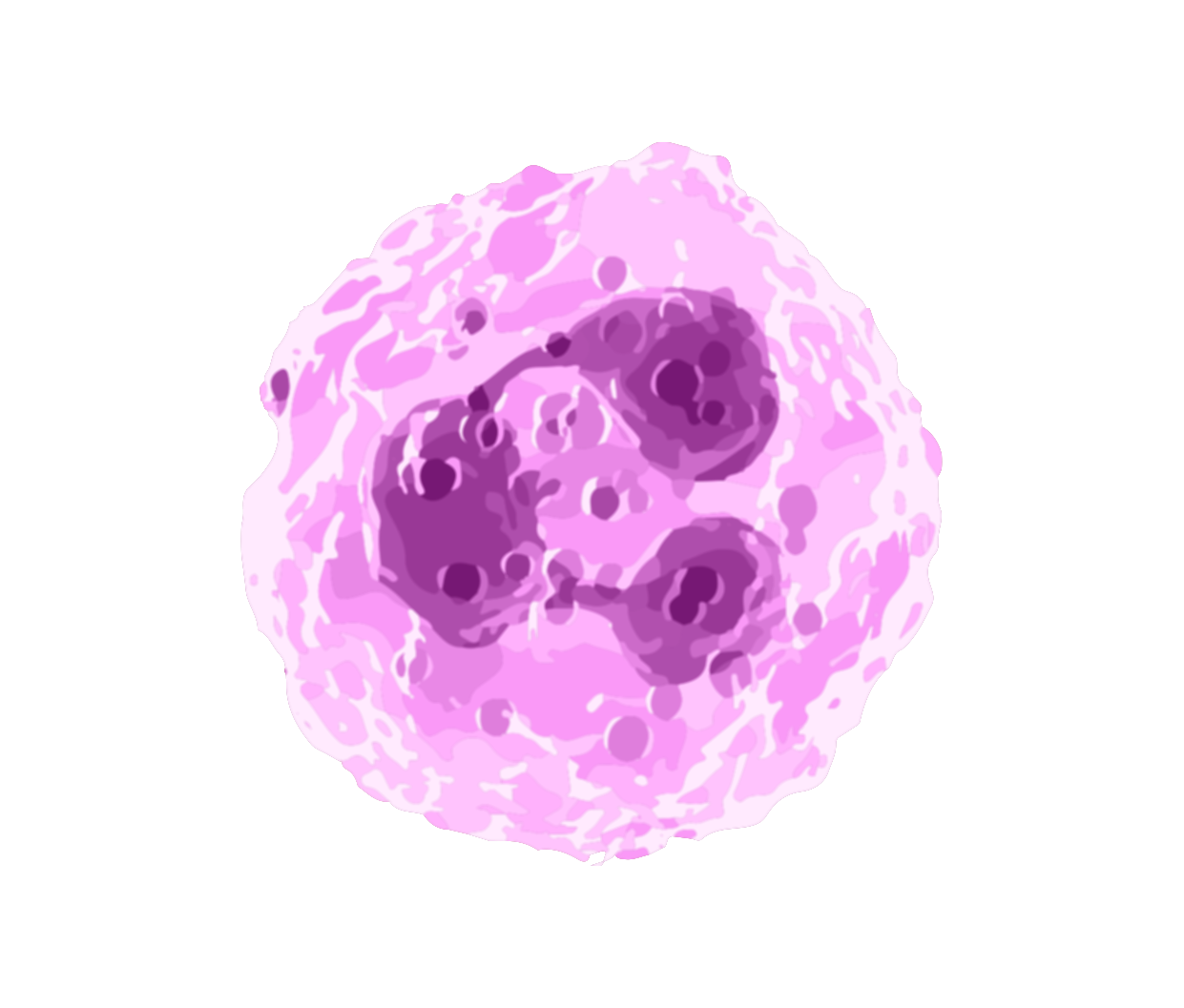 Neutraphil