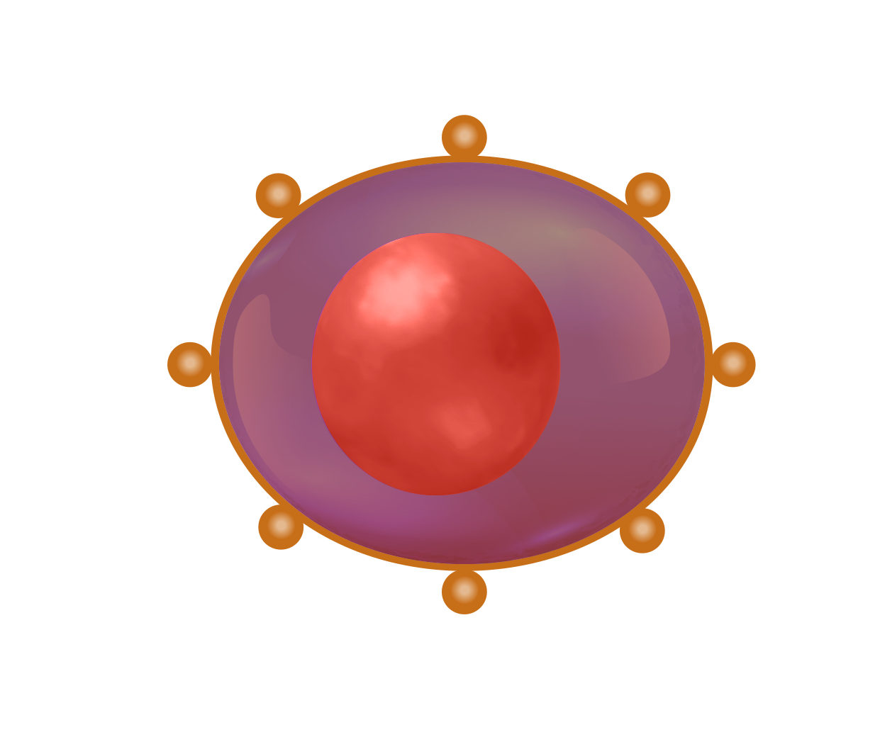 Myeloma Cell dying