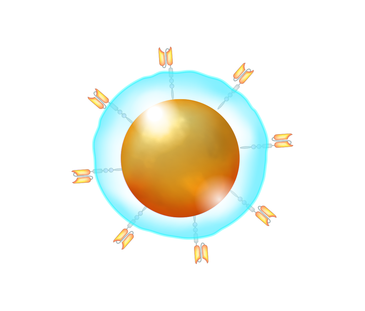 Cart-T Cell