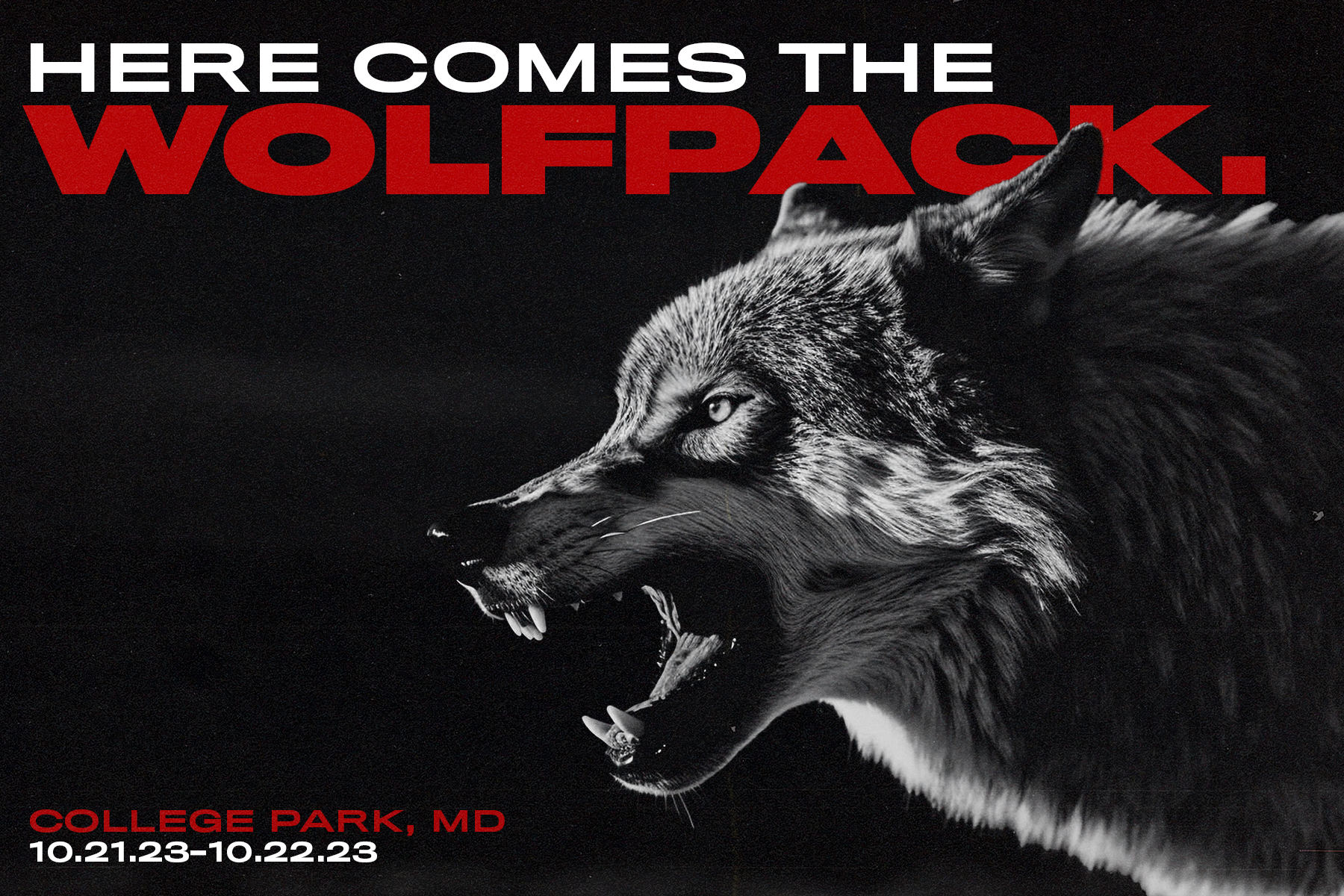 NC State Water Polo Fall 2023 Tournament