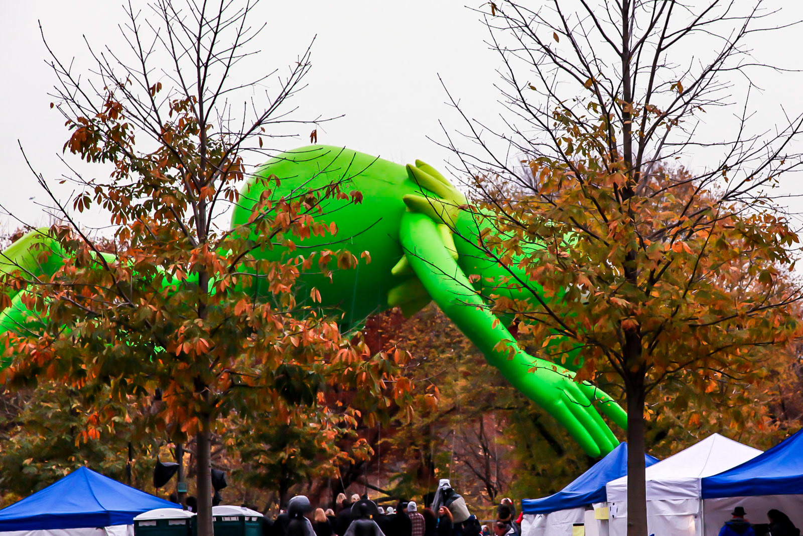 Thanksgiving, Central Park West