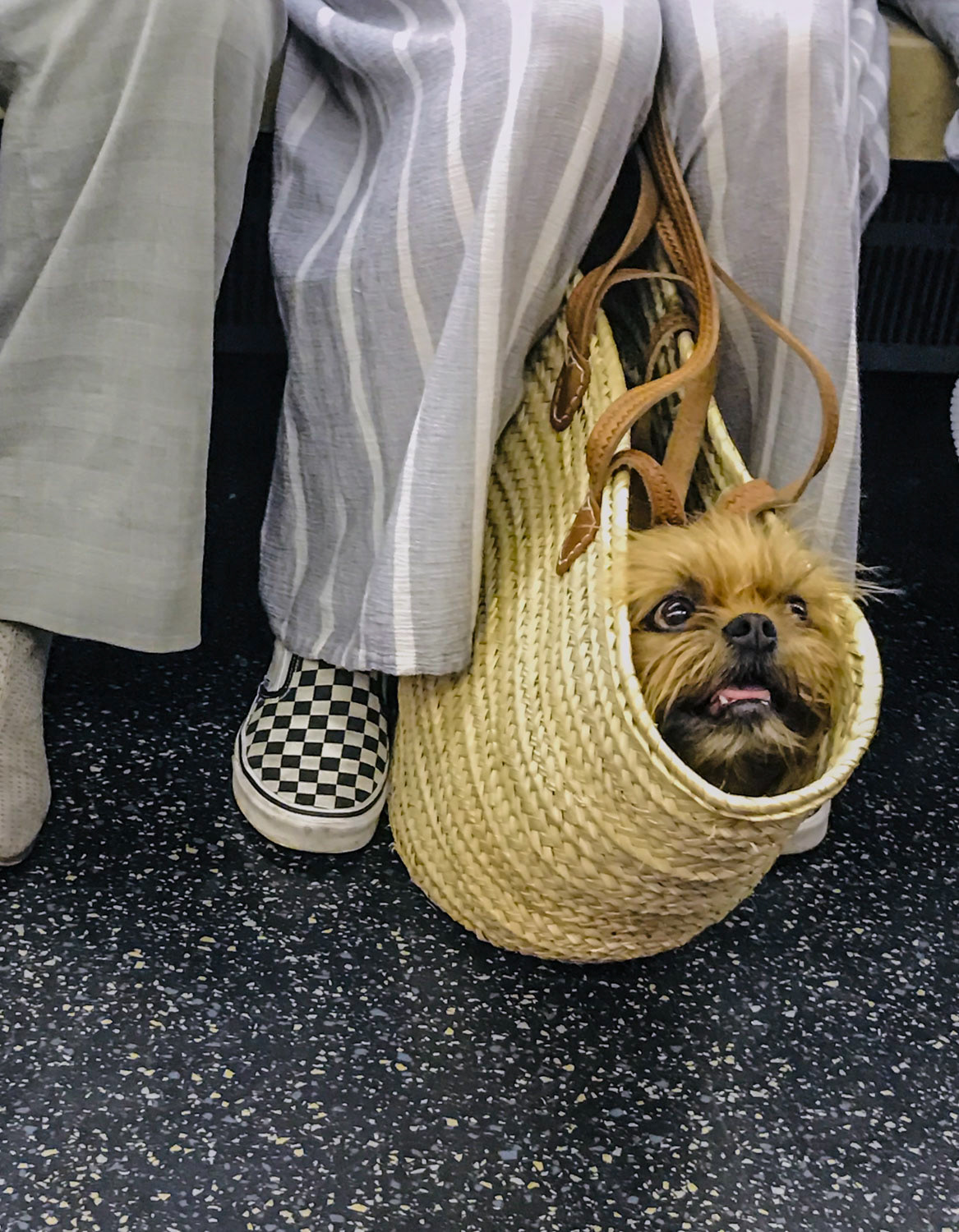 Carry-on