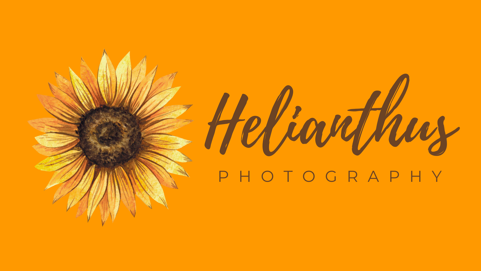Helianthus Photography