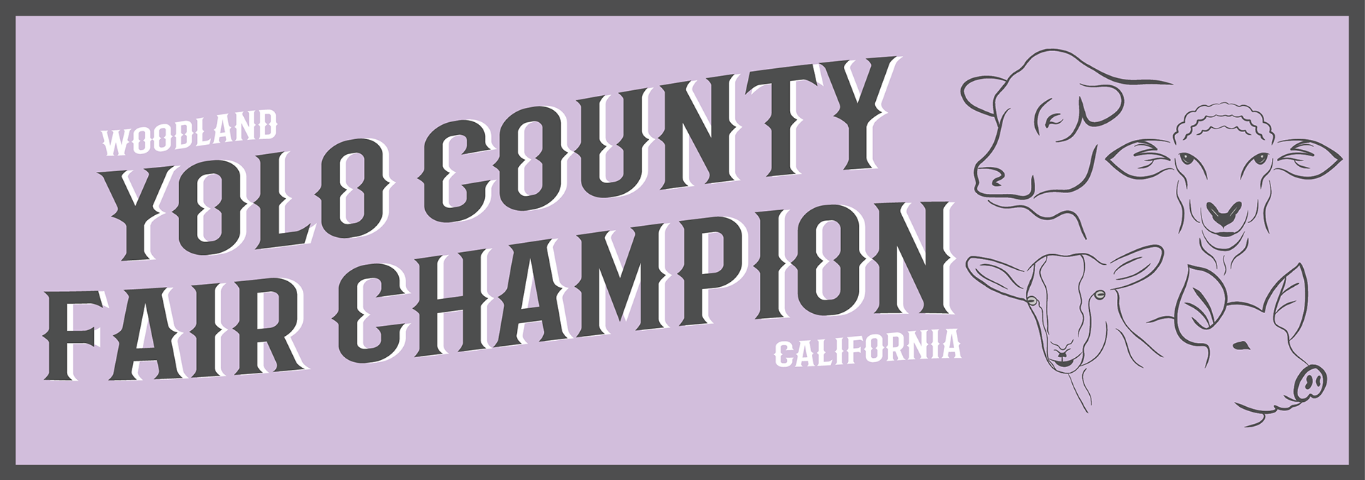 Bumper Sticker