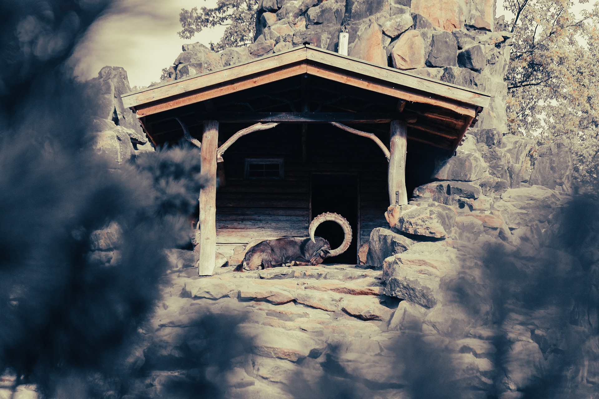 Refuge