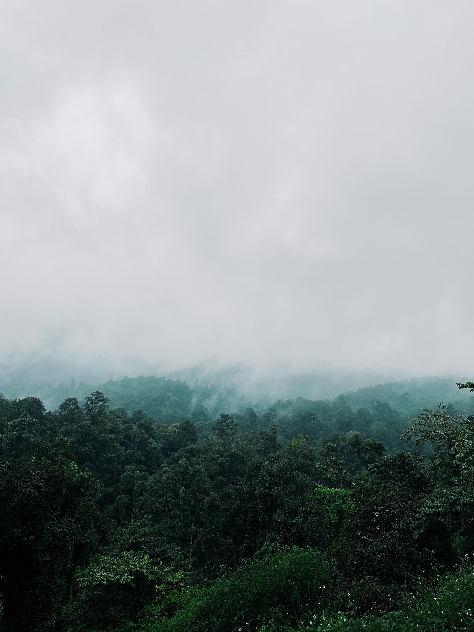 Northern Thailand