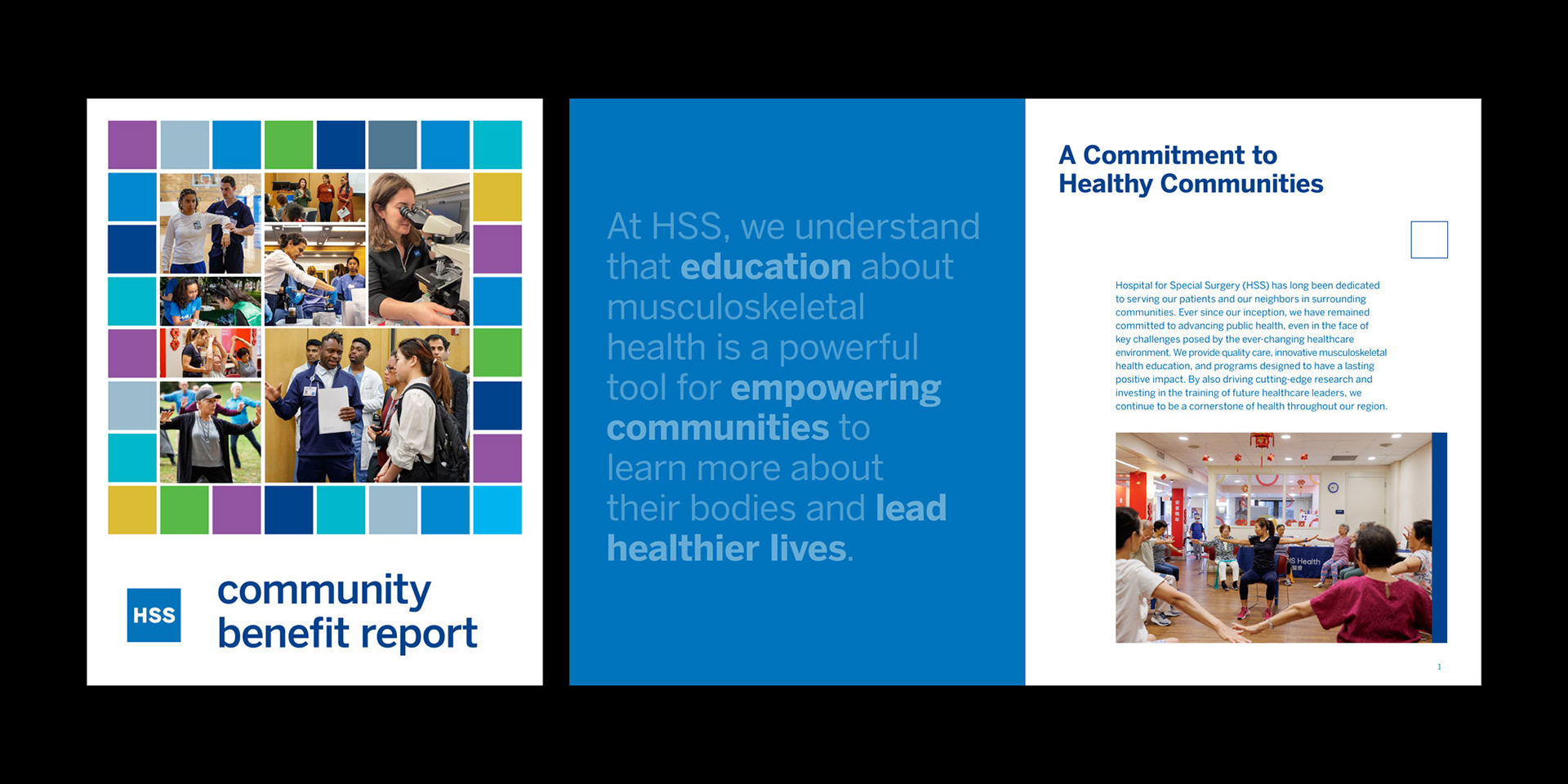 HSS Report to Community