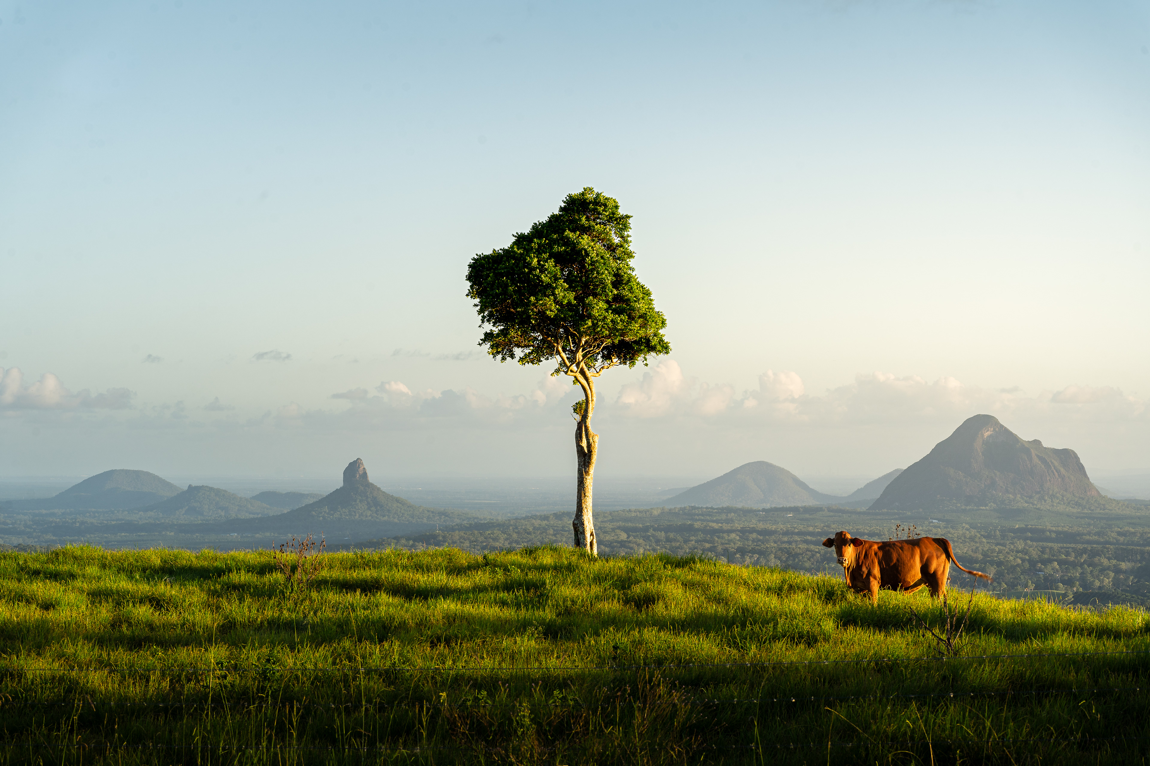 Maleny, QLD