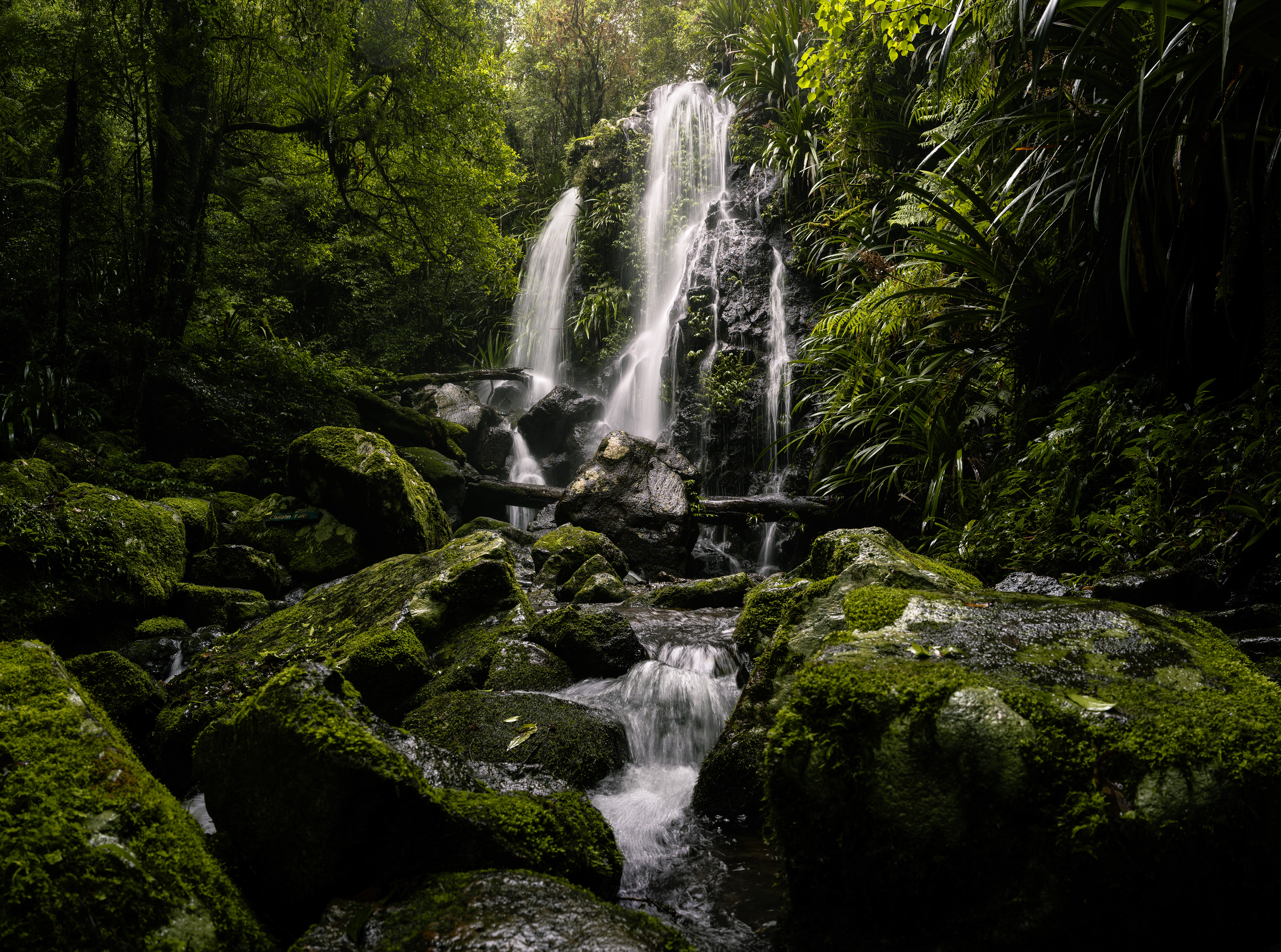 Lamington National Park, QLD