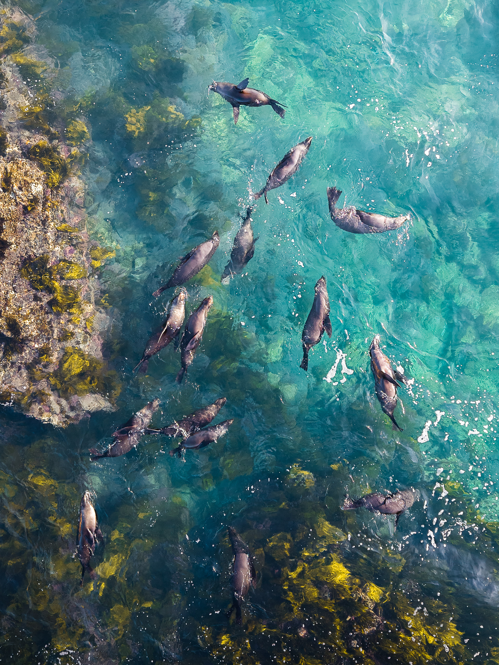 Seals