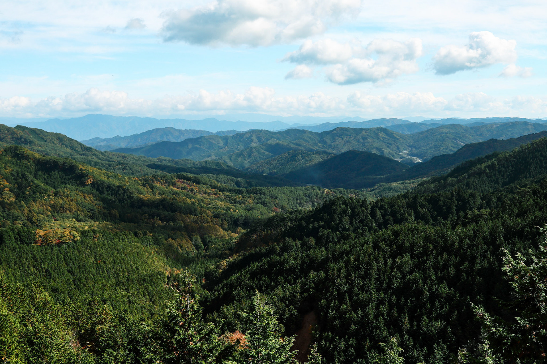 愛知三河山間 撮影地:愛知県豊田市