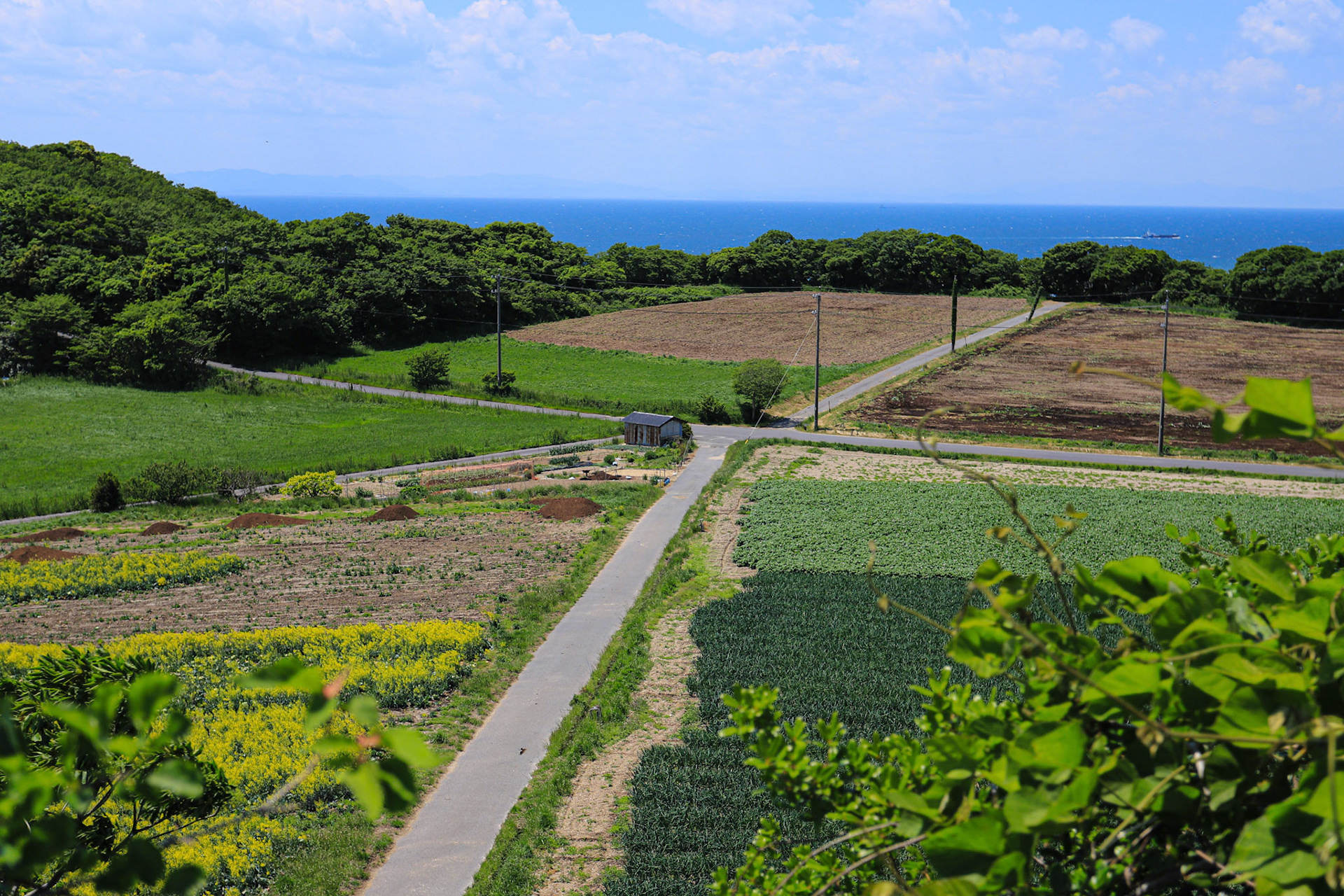 夏休みの景色 撮影地:愛知県南知多町
