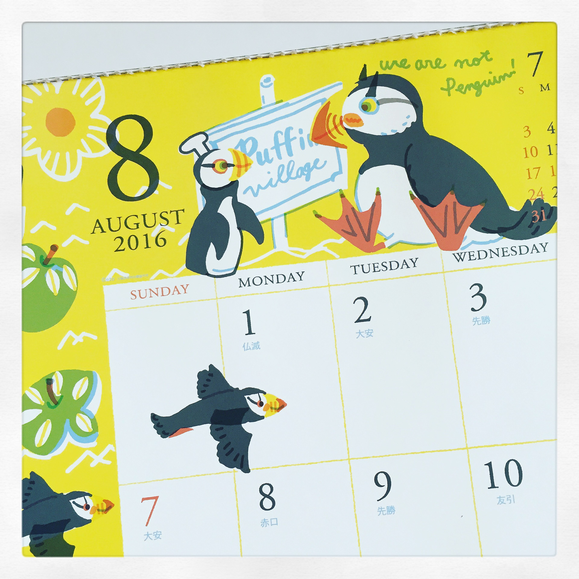 ツノメドリのフルーツカット