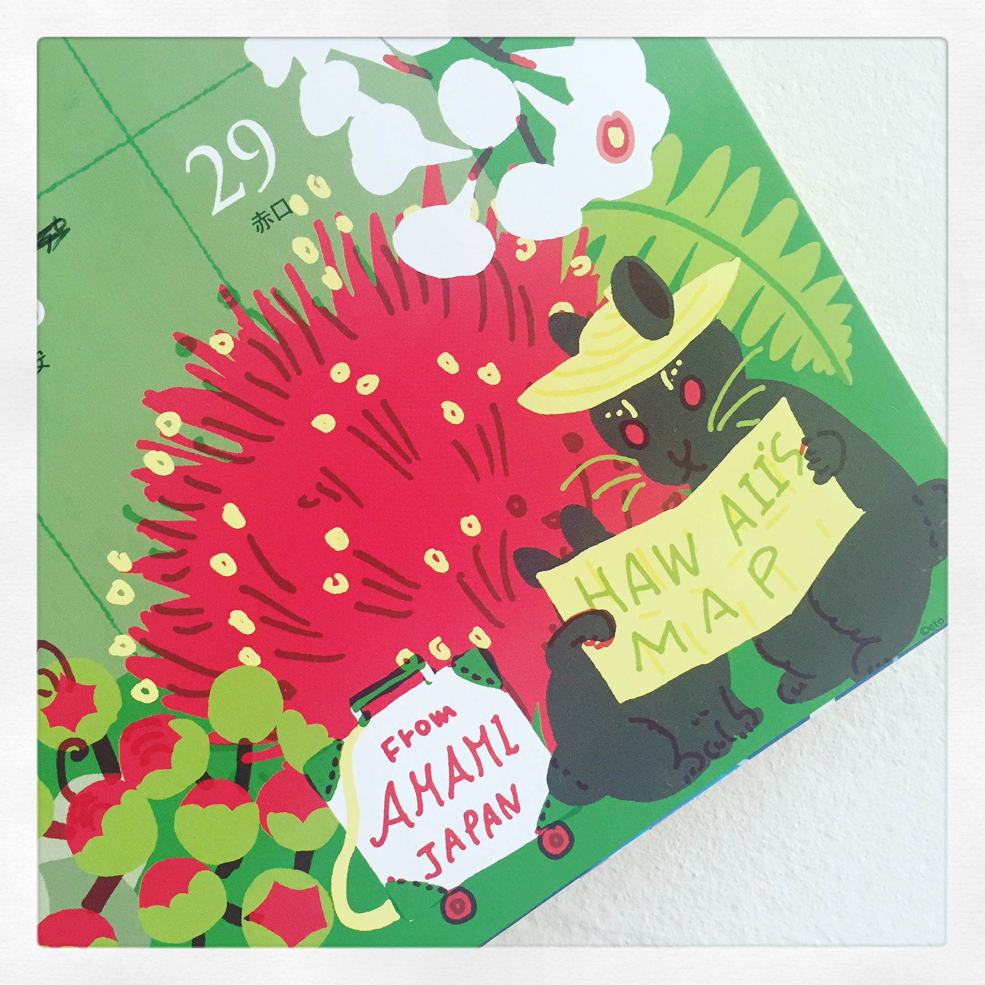 アマミノクロウサギ！