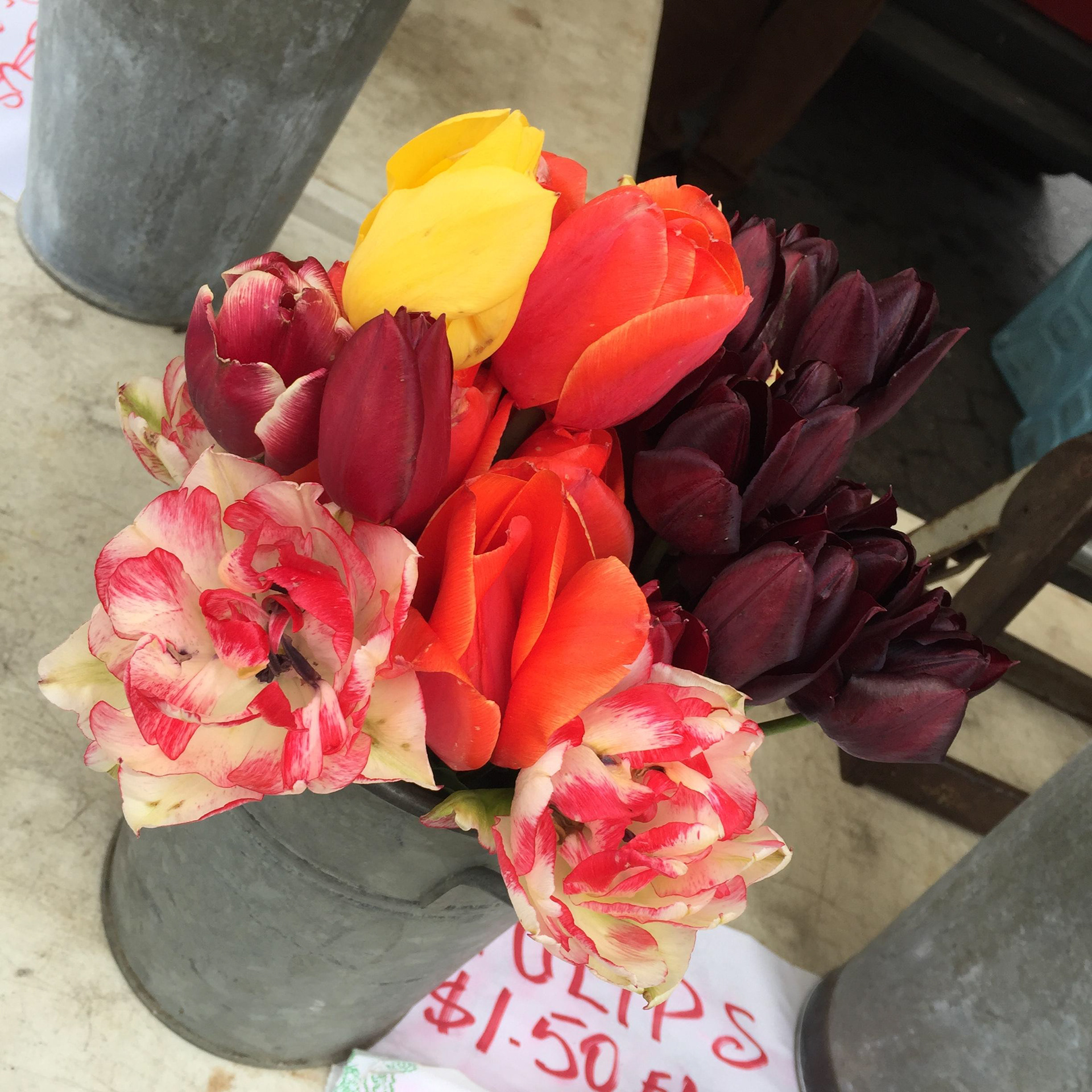 The combination of colors are so nice!