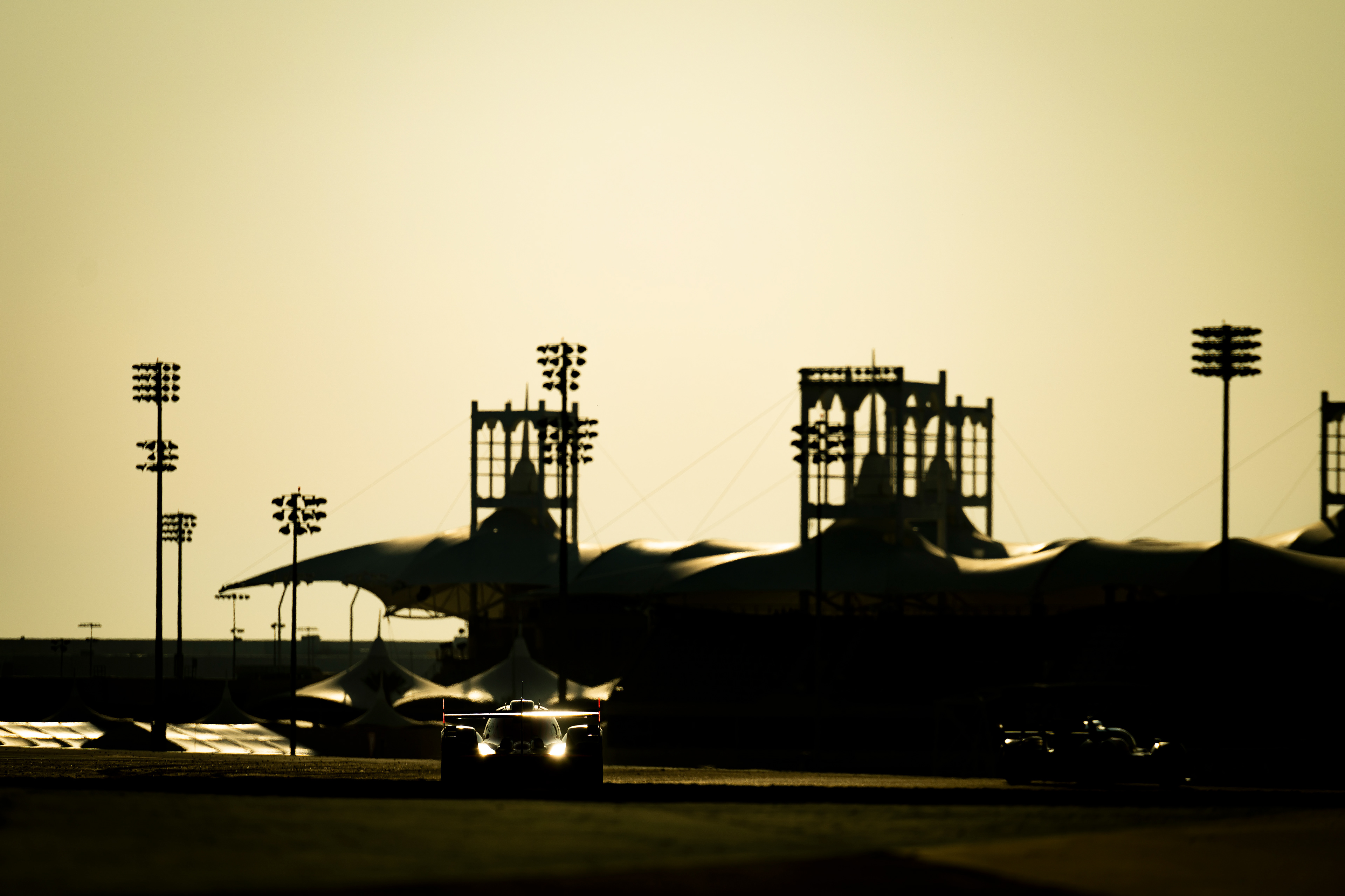 #12 Hertz Team Jota Porsche 963: Will Stevens, Callum Ilott, Norman Nato