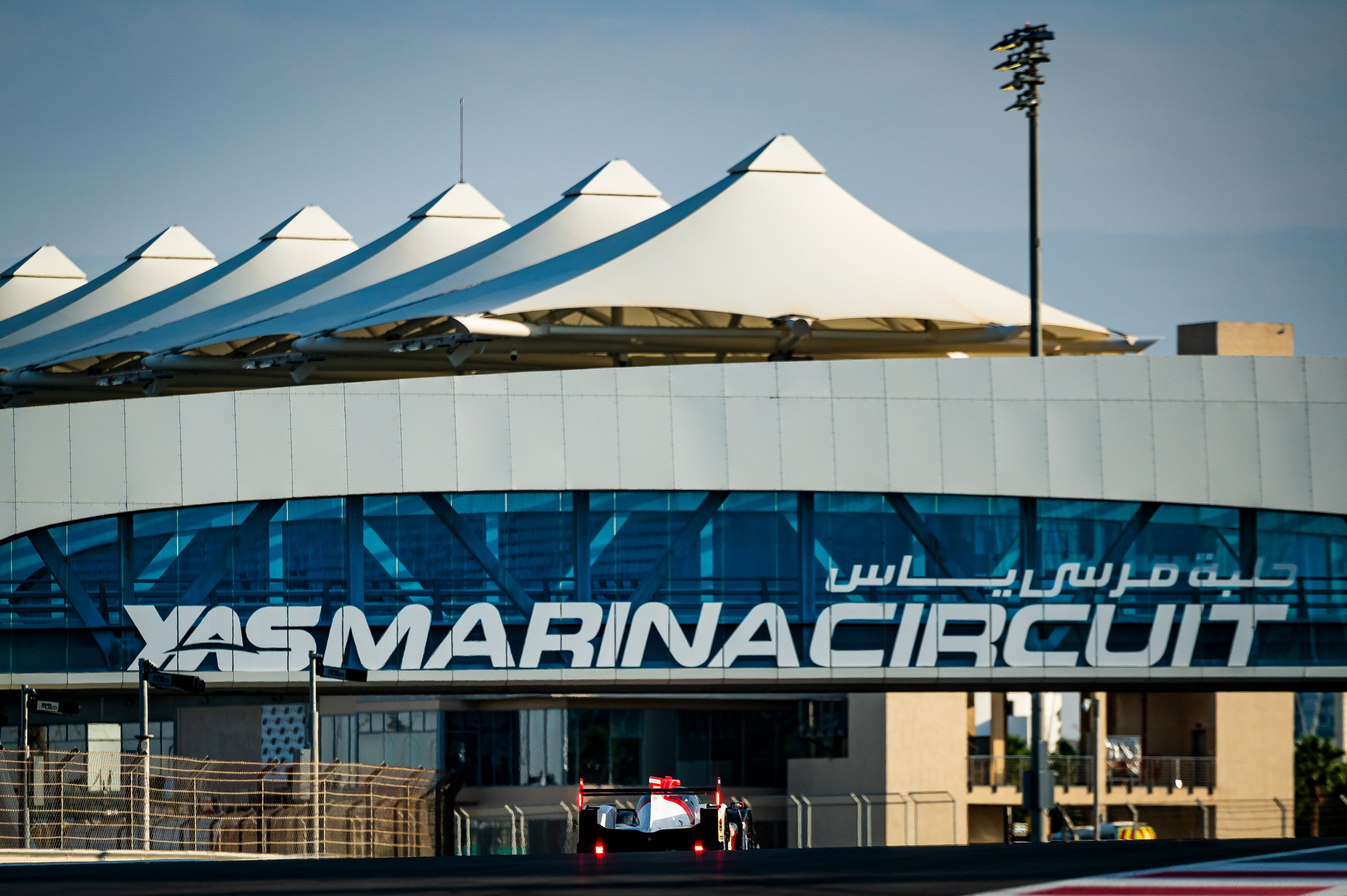 #24 NIELSEN RACING of Ian Loggie, Alejandro Garcia, Will Stevens 