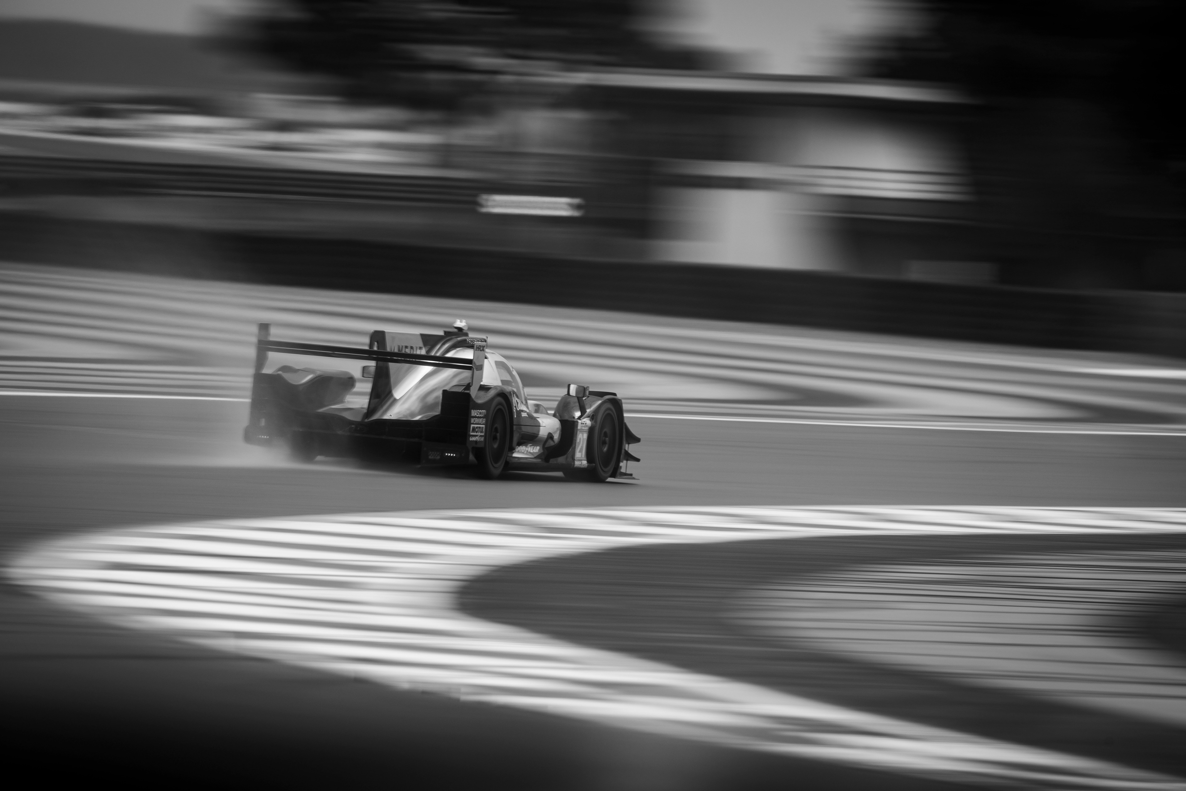 ELMS’25 © Shameem Fahath