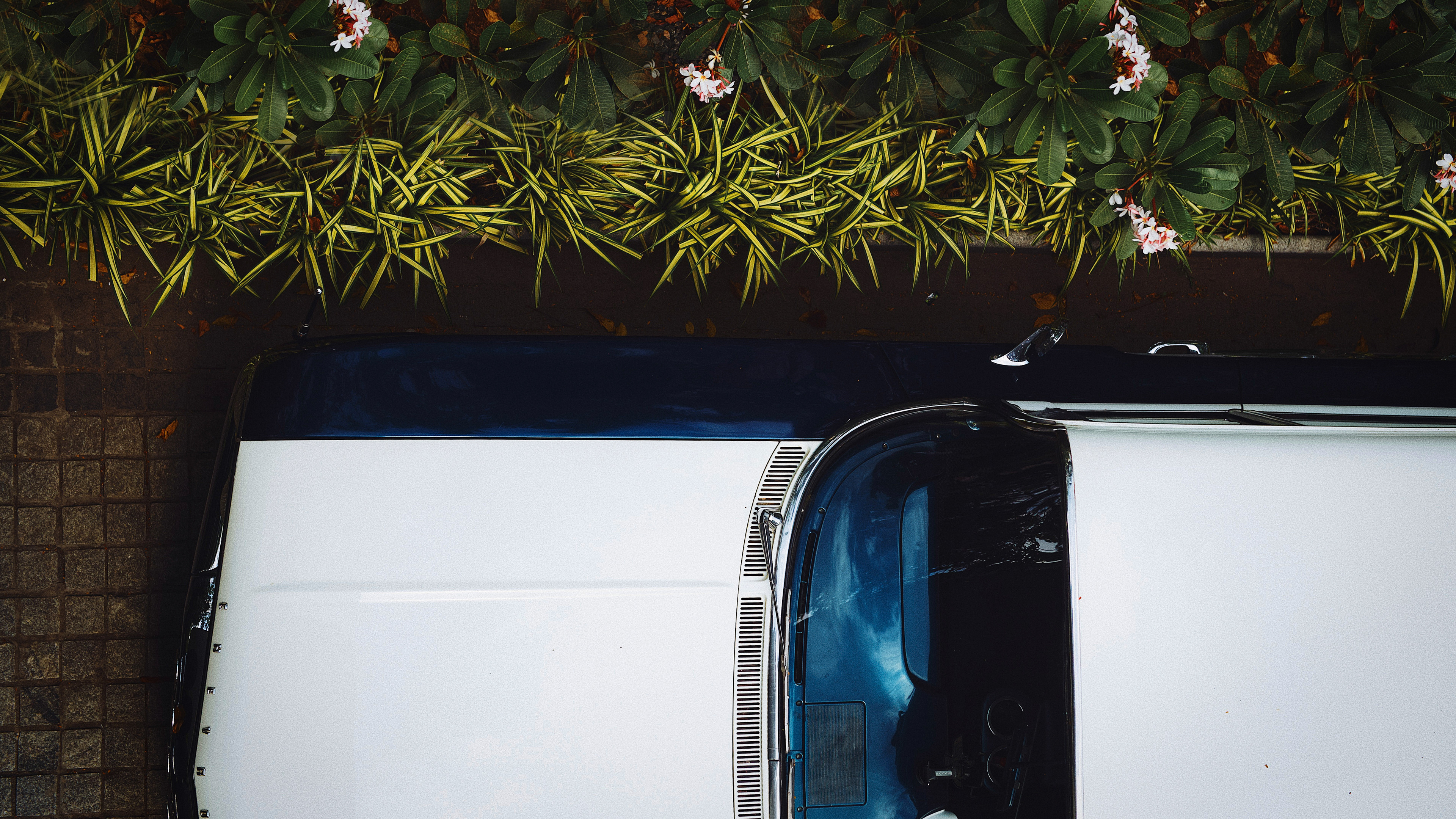 Taj Connemara - Heritage Drive