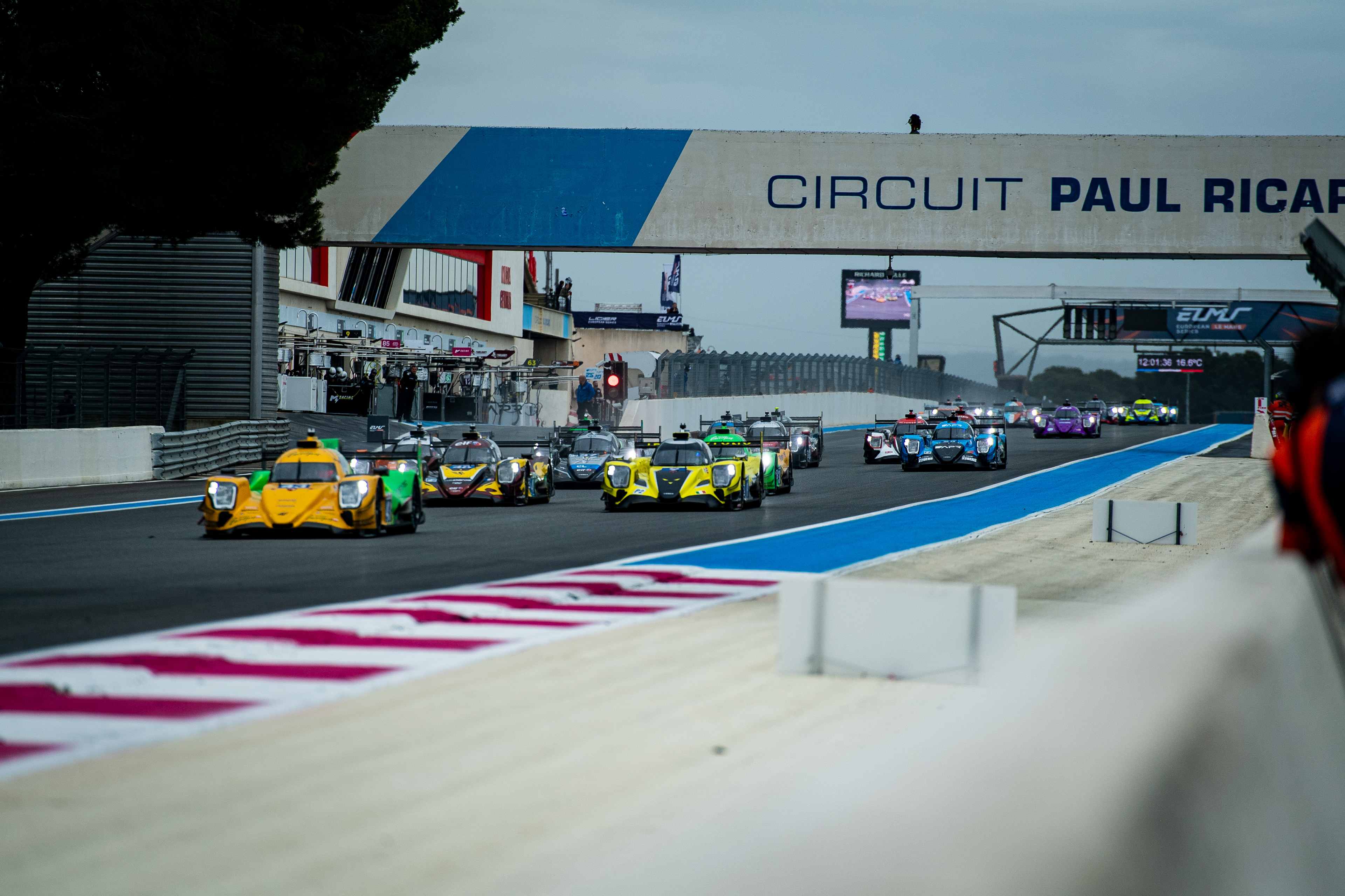 ELMS’25 © Shameem Fahath