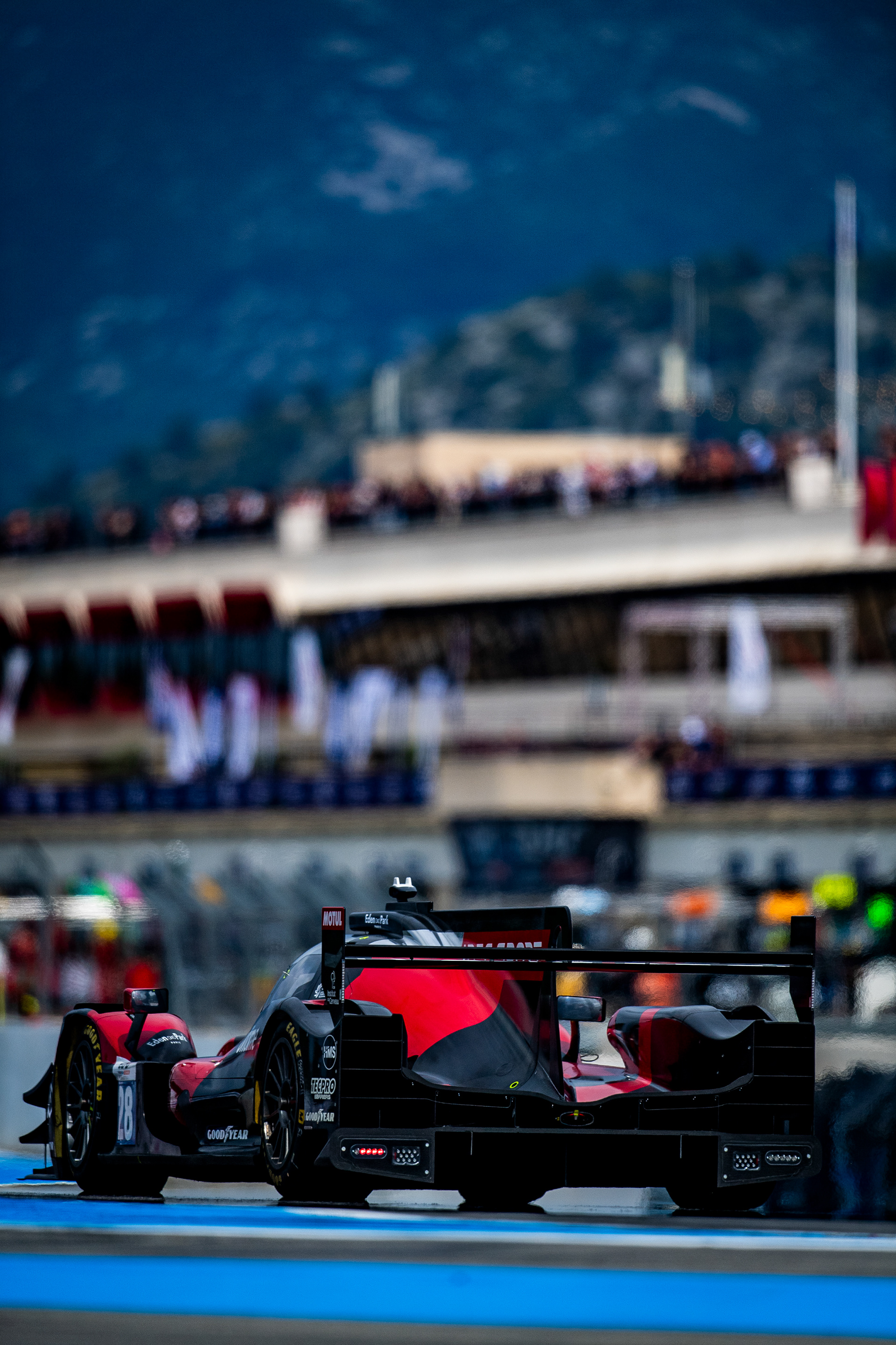 ELMS’25 © Shameem Fahath