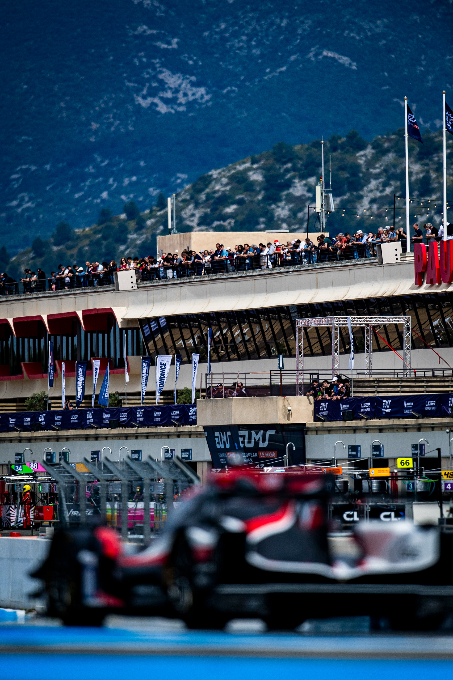 ELMS’25 © Shameem Fahath