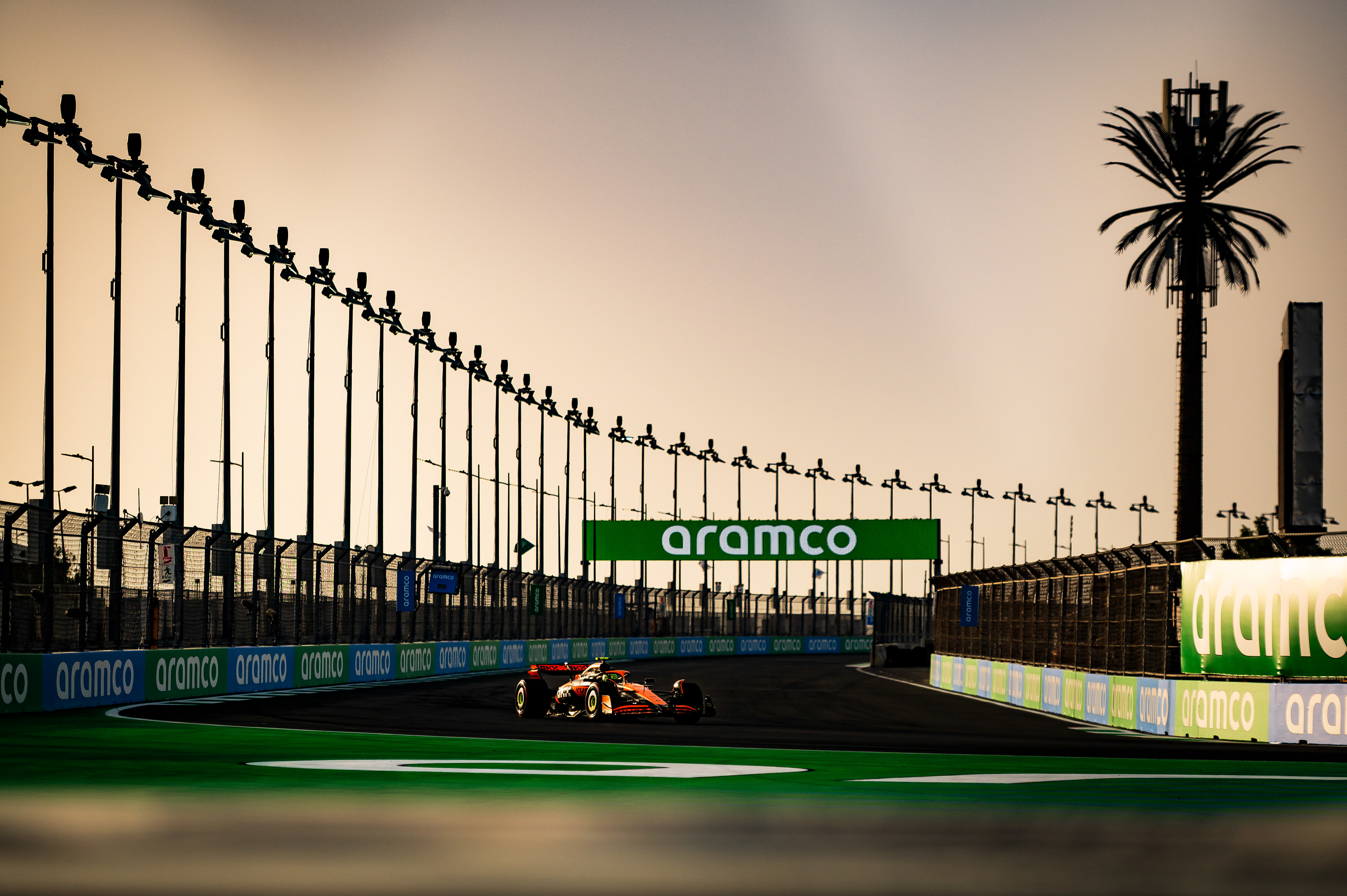 Mclaren F1 Driver - Lando Norris