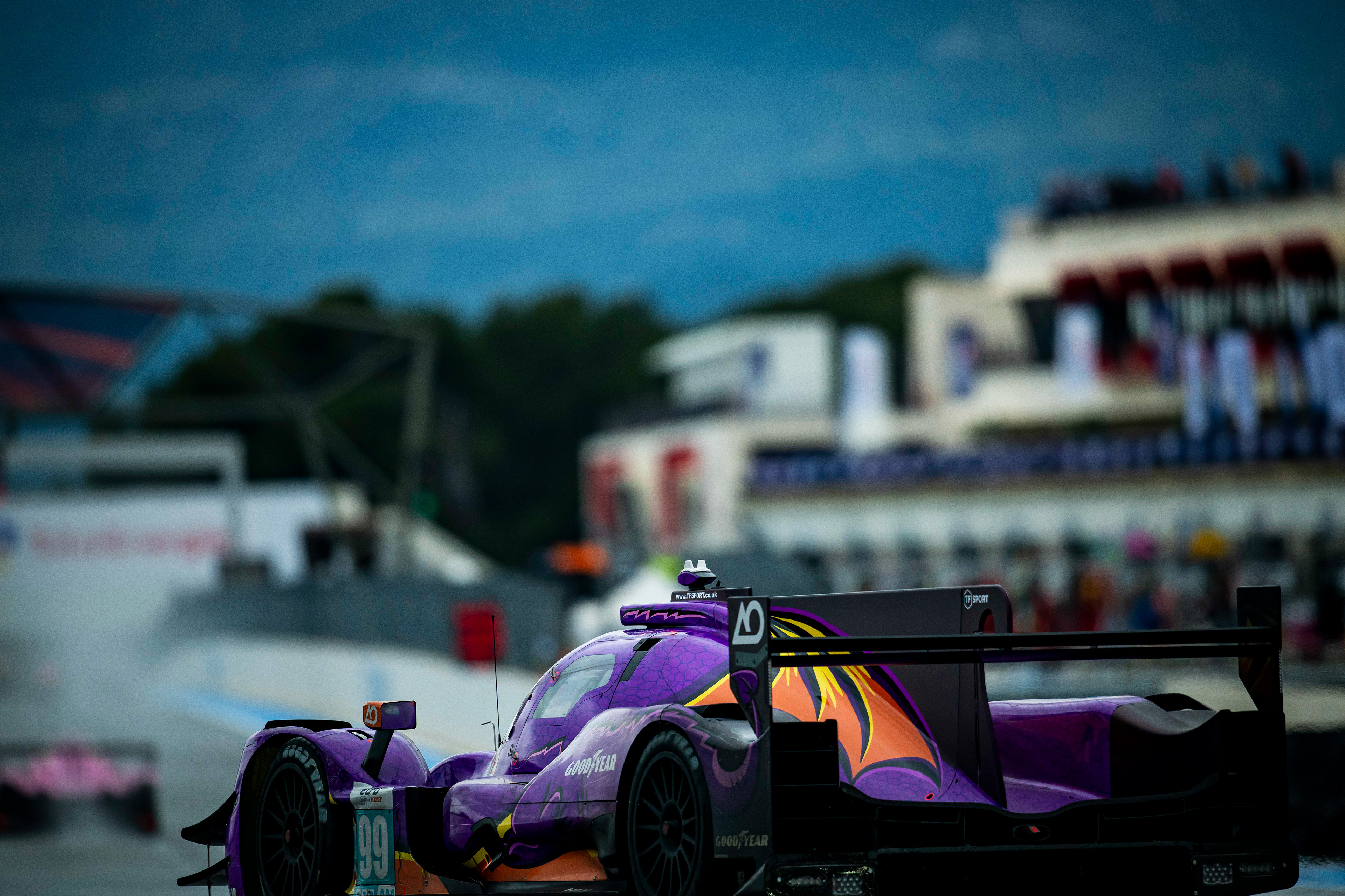 ELMS’25 © Shameem Fahath